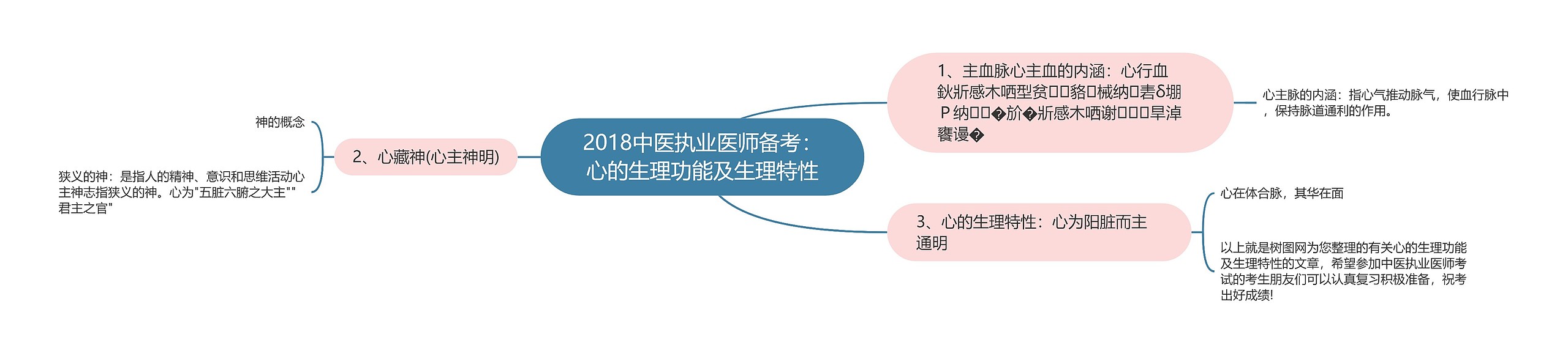 2018中医执业医师备考：心的生理功能及生理特性