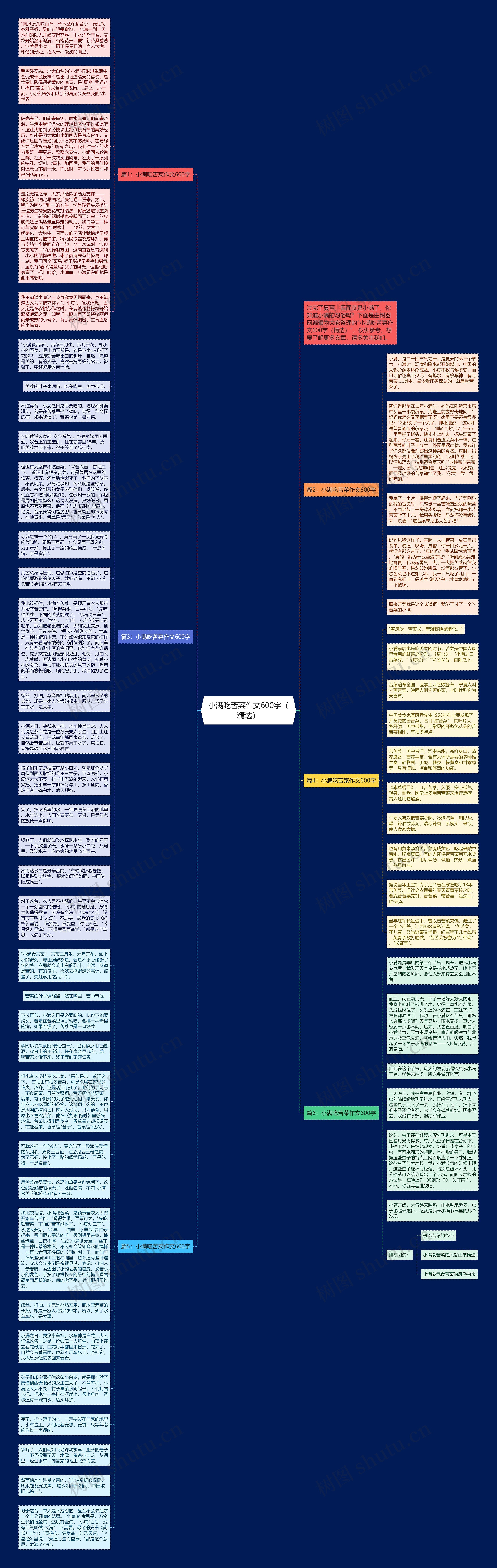 小满吃苦菜作文600字（精选）思维导图