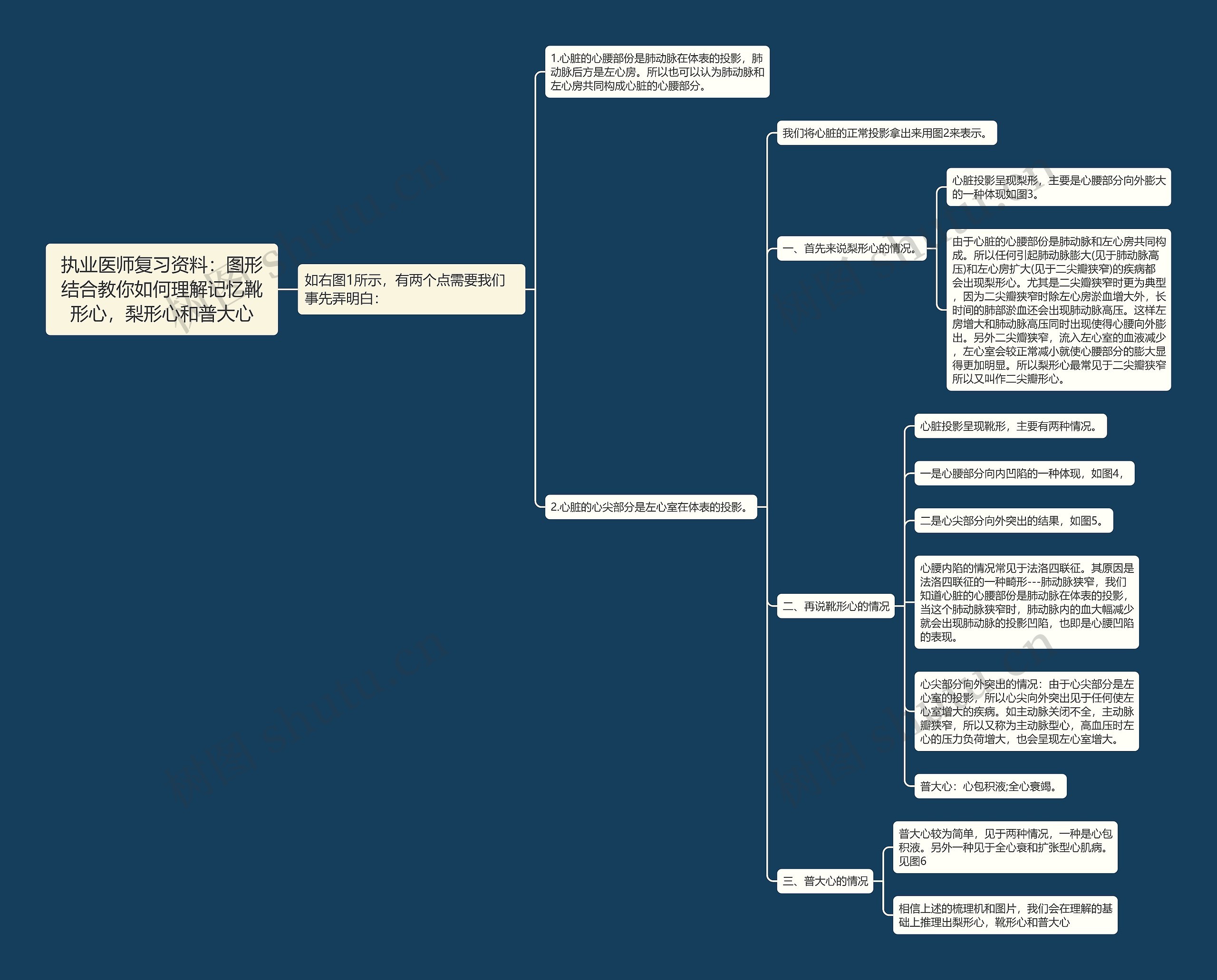 执业医师复习资料:图形结合教你如何理解记忆靴形心,梨形心和普大心 执业医师复习资料:图形结合教你如何理解记忆靴形心,梨形心和普大心