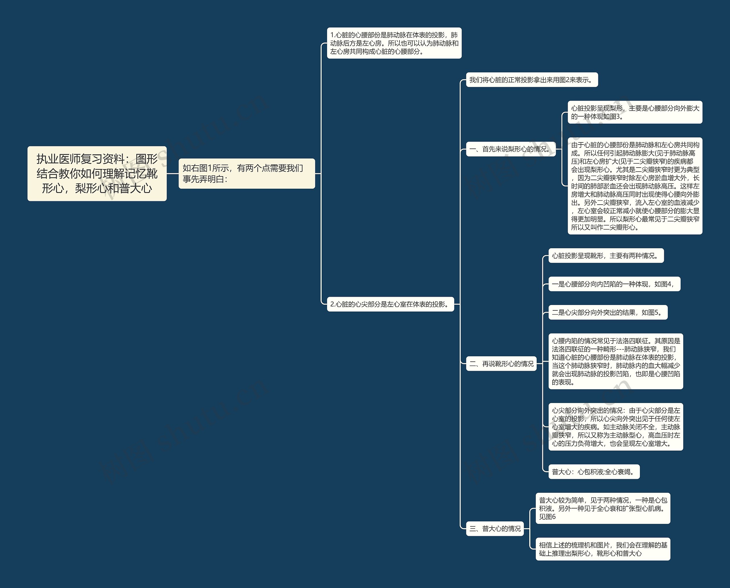 执业医师复习资料：图形结合教你如何理解记忆靴形心，梨形心和普大心思维导图