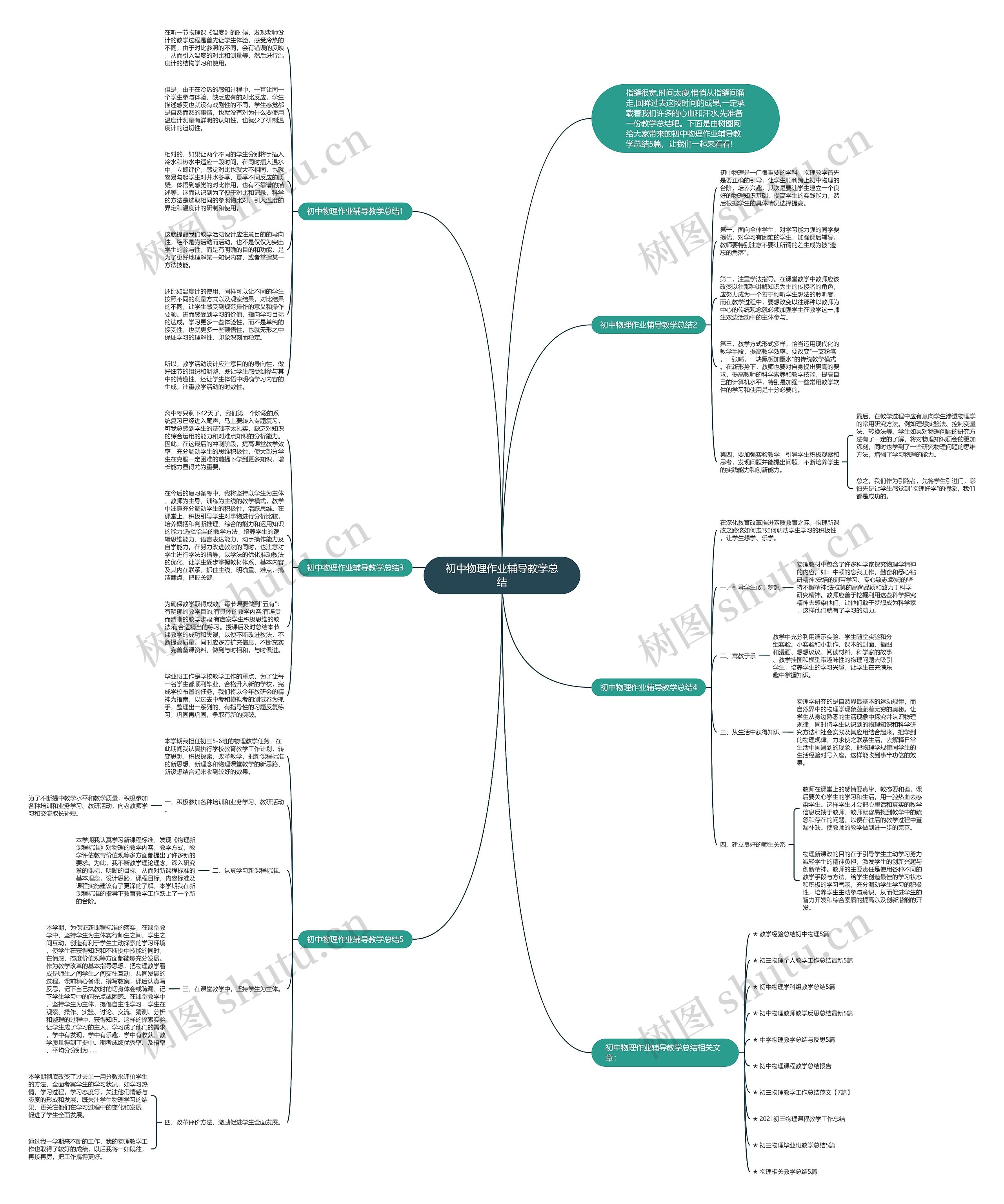 初中物理作业辅导教学总结思维导图