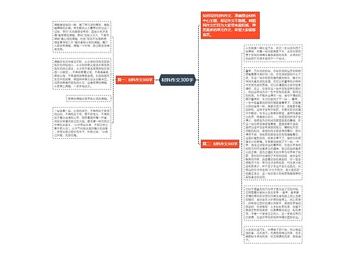 材料作文300字