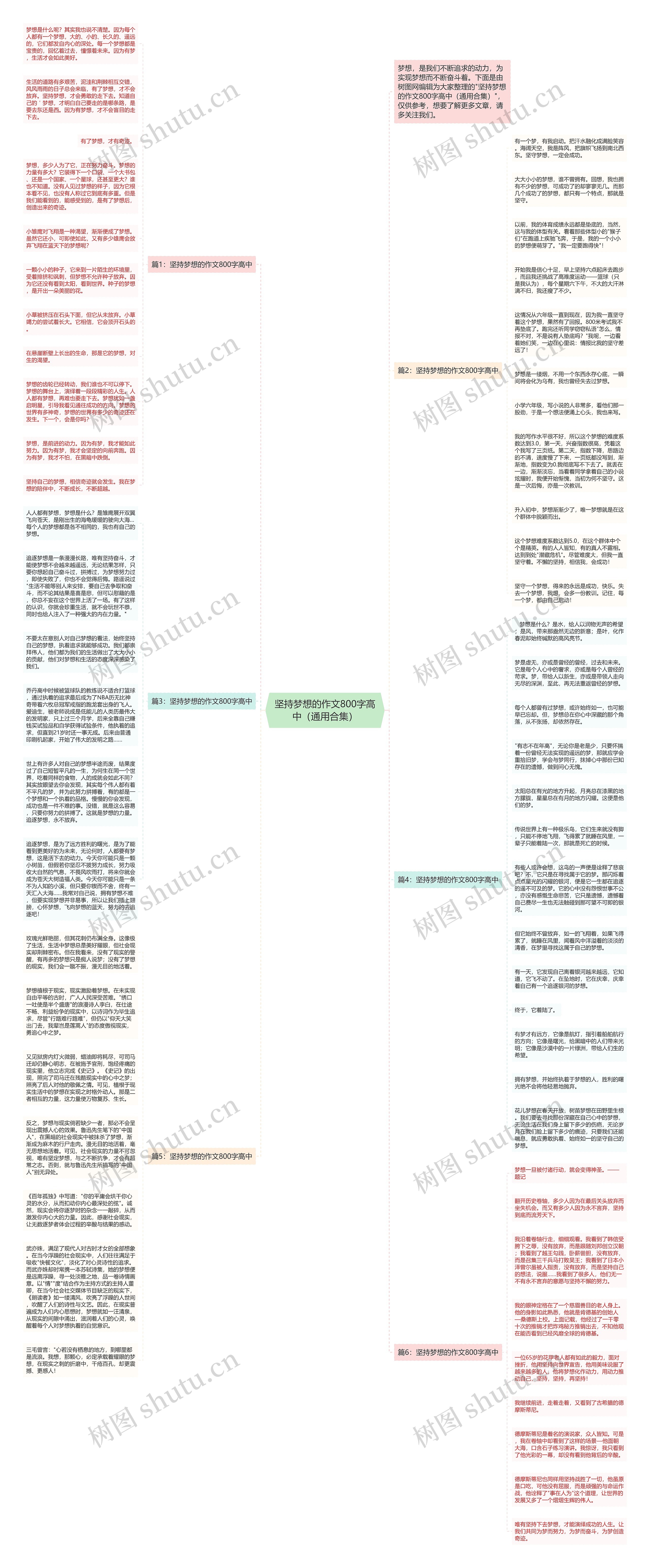 坚持梦想的作文800字高中（通用合集）思维导图