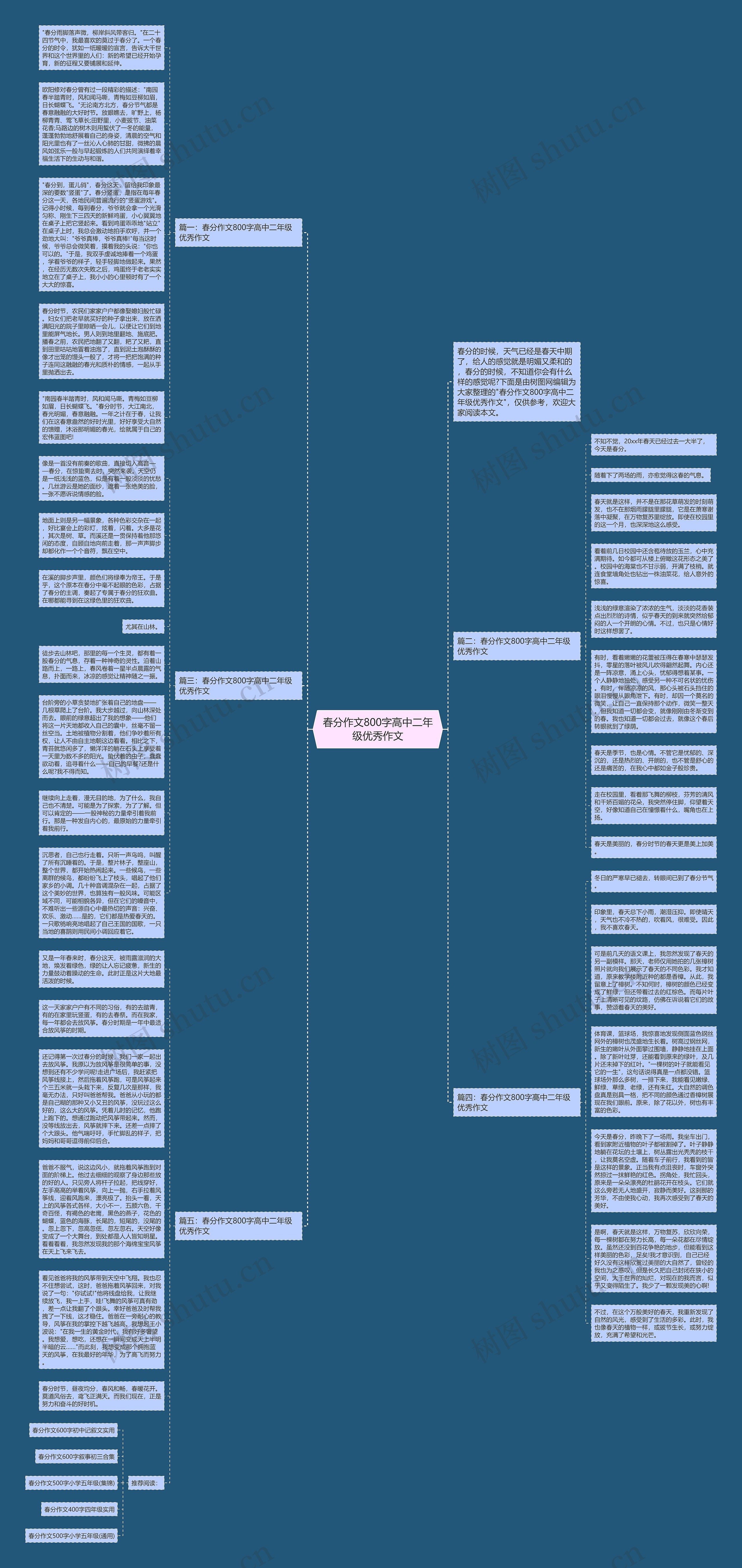 春分作文800字高中二年级优秀作文思维导图
