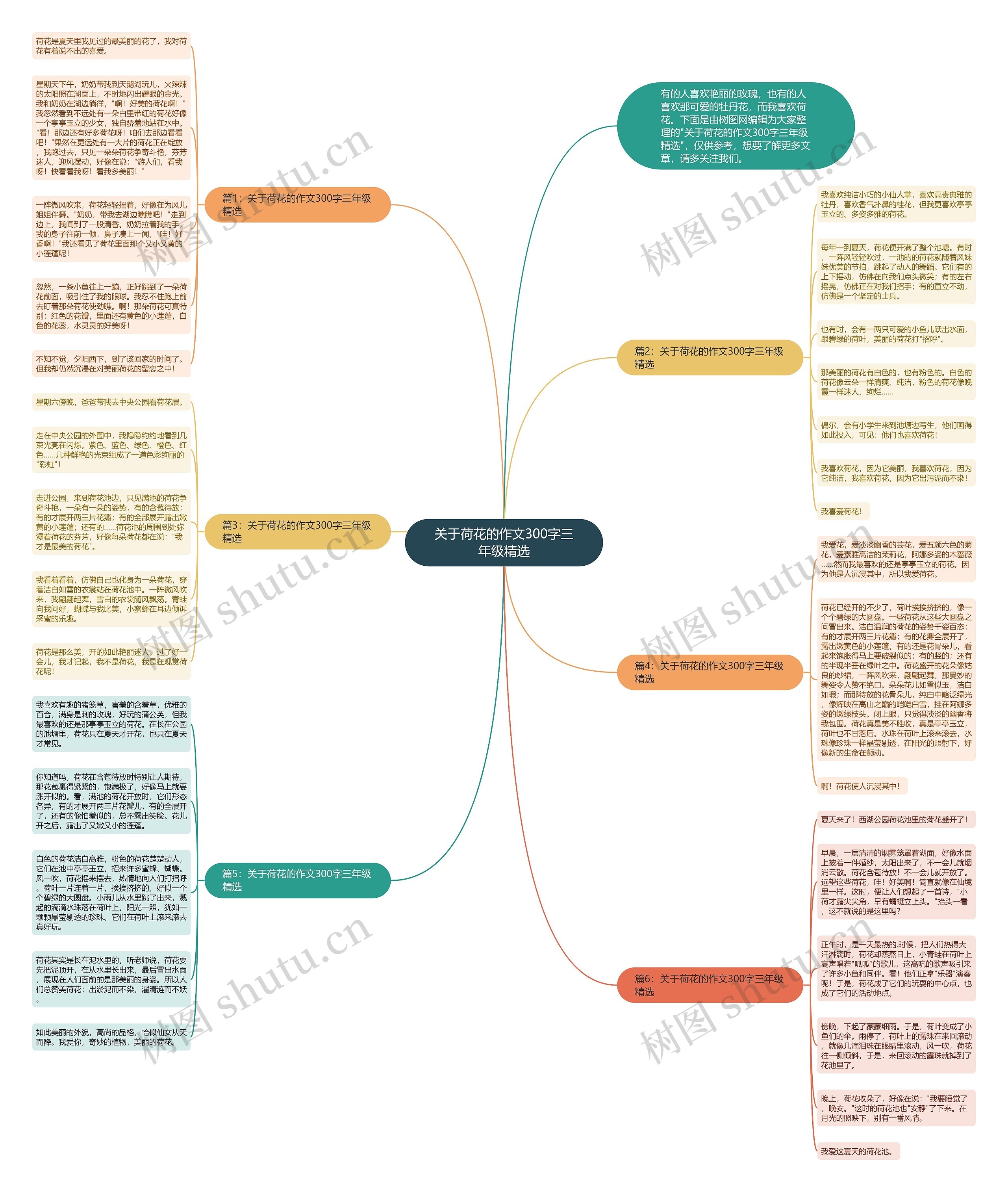 关于荷花的作文300字三年级精选思维导图