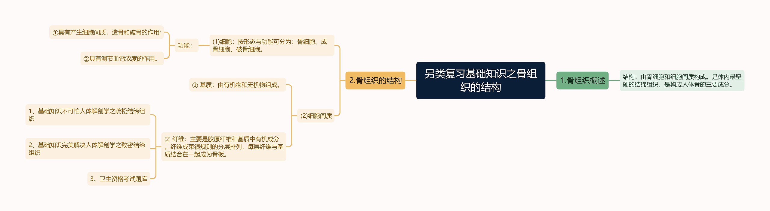 另类复习基础知识之骨组织的结构思维导图