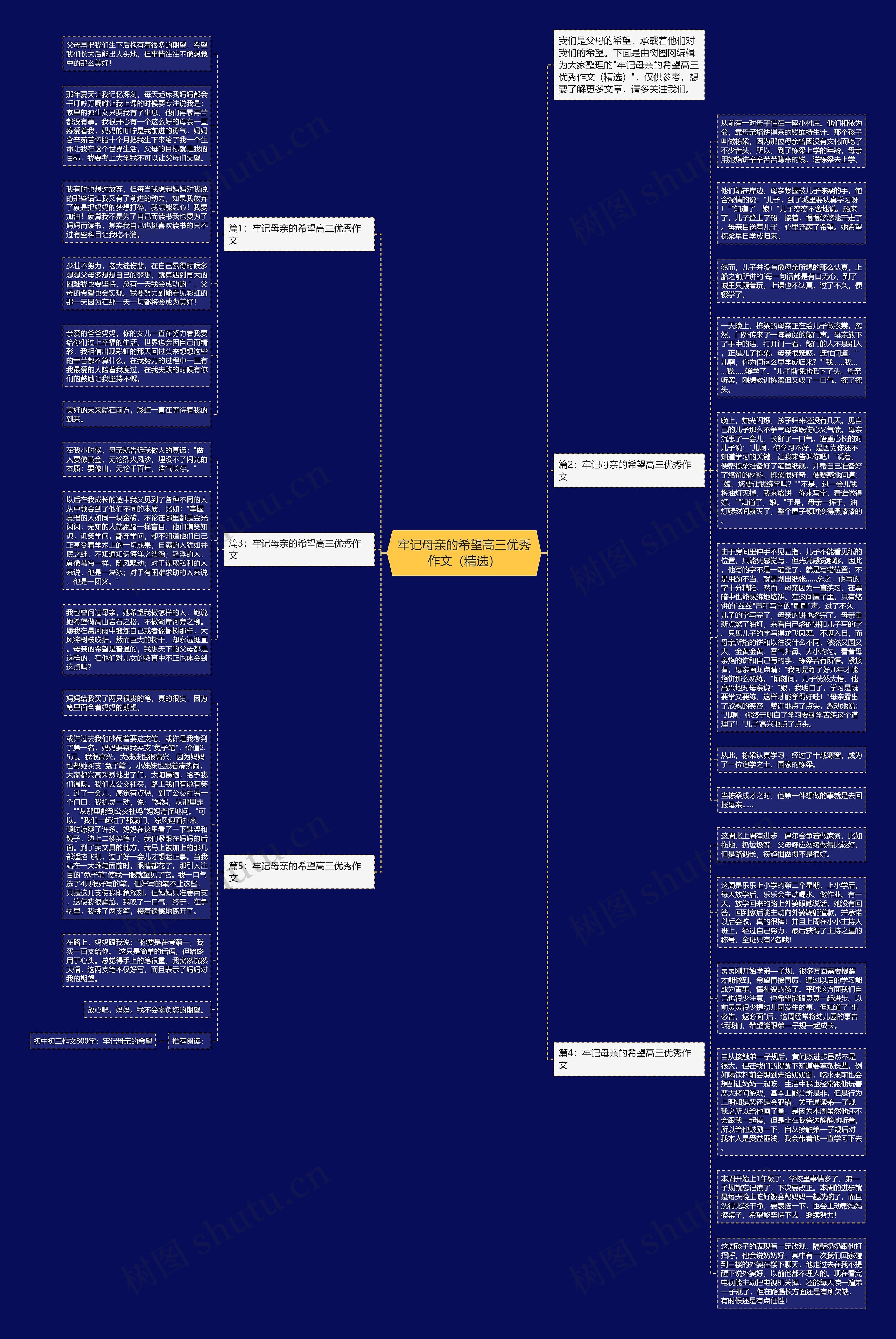牢记母亲的希望高三优秀作文（精选）思维导图
