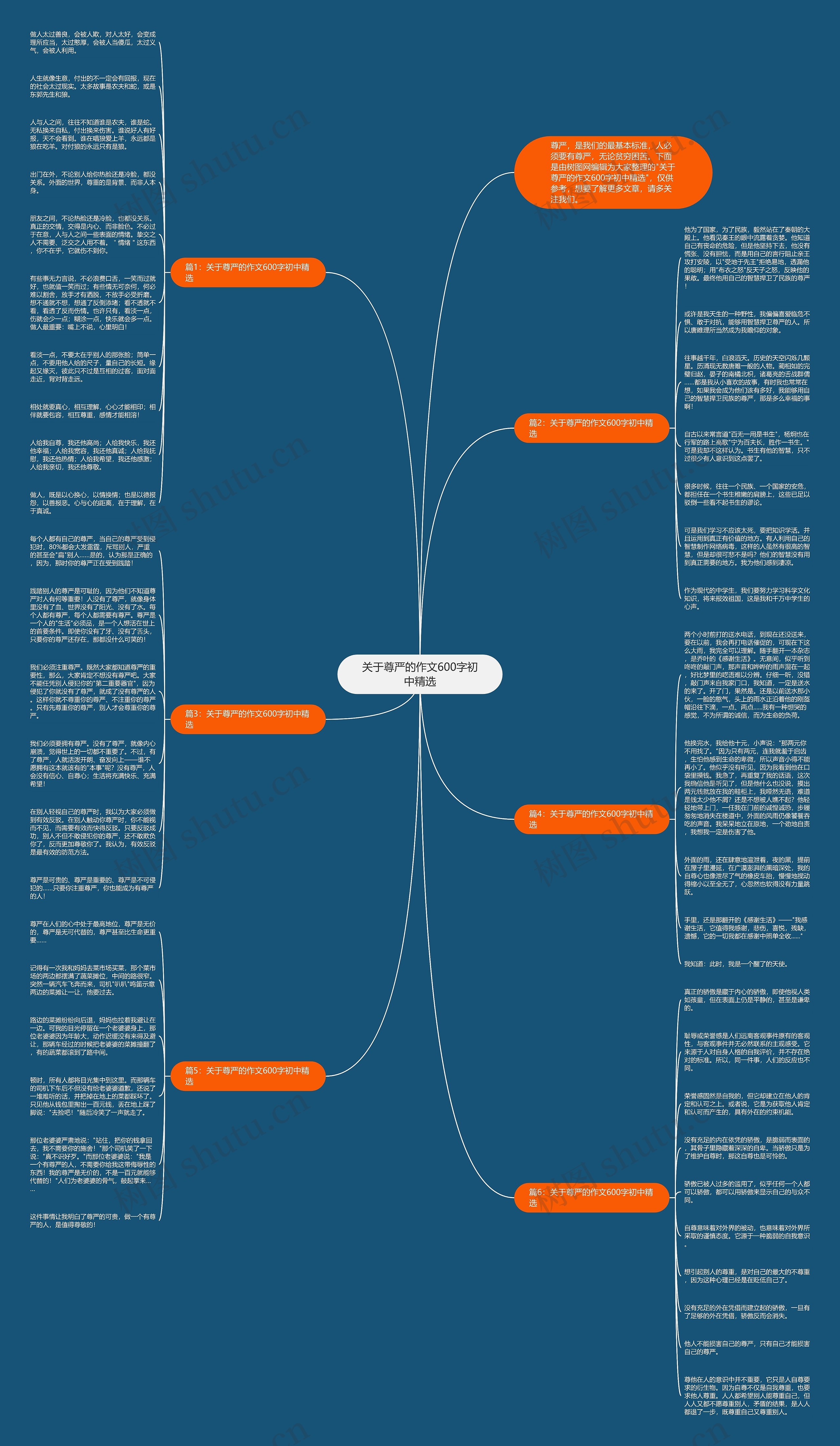 关于尊严的作文600字初中精选思维导图