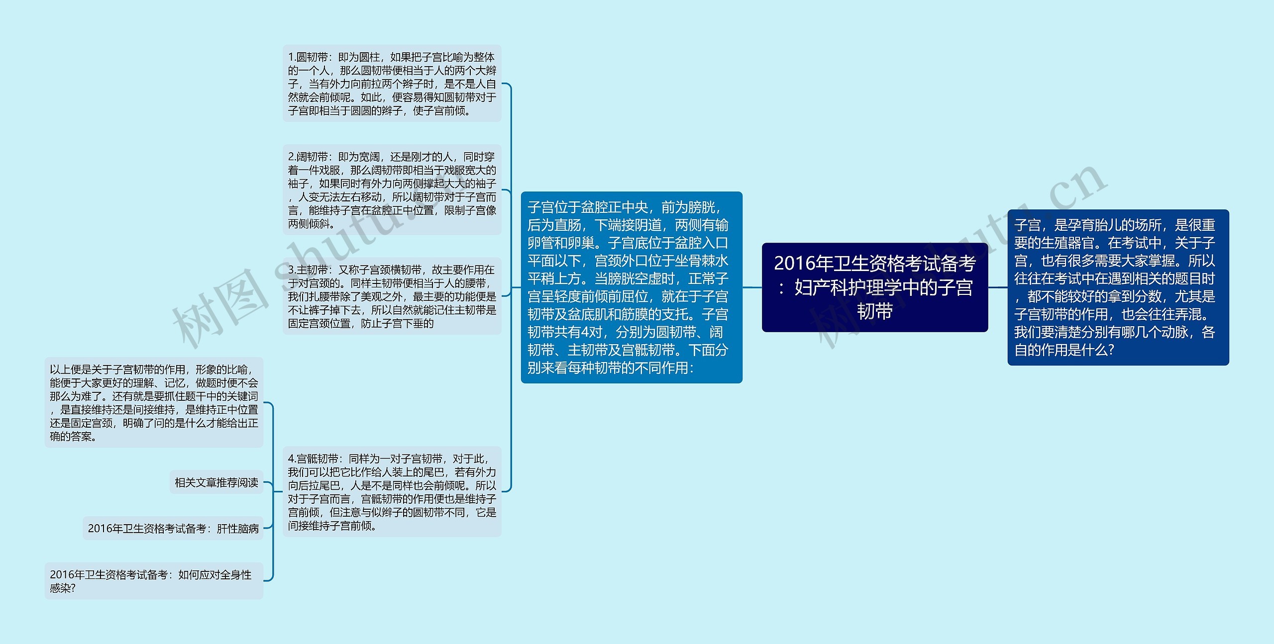 2016年卫生资格考试备考：妇产科护理学中的子宫韧带