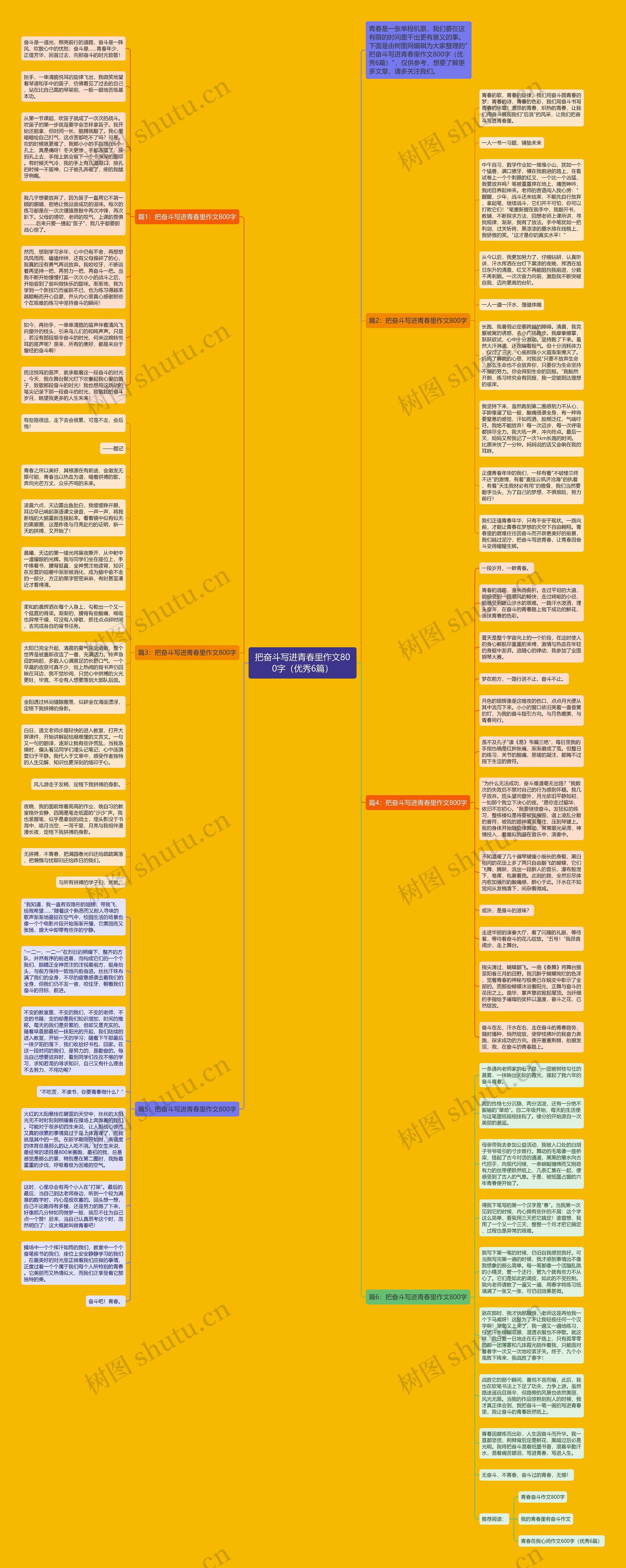 把奋斗写进青春里作文800字（优秀6篇）思维导图