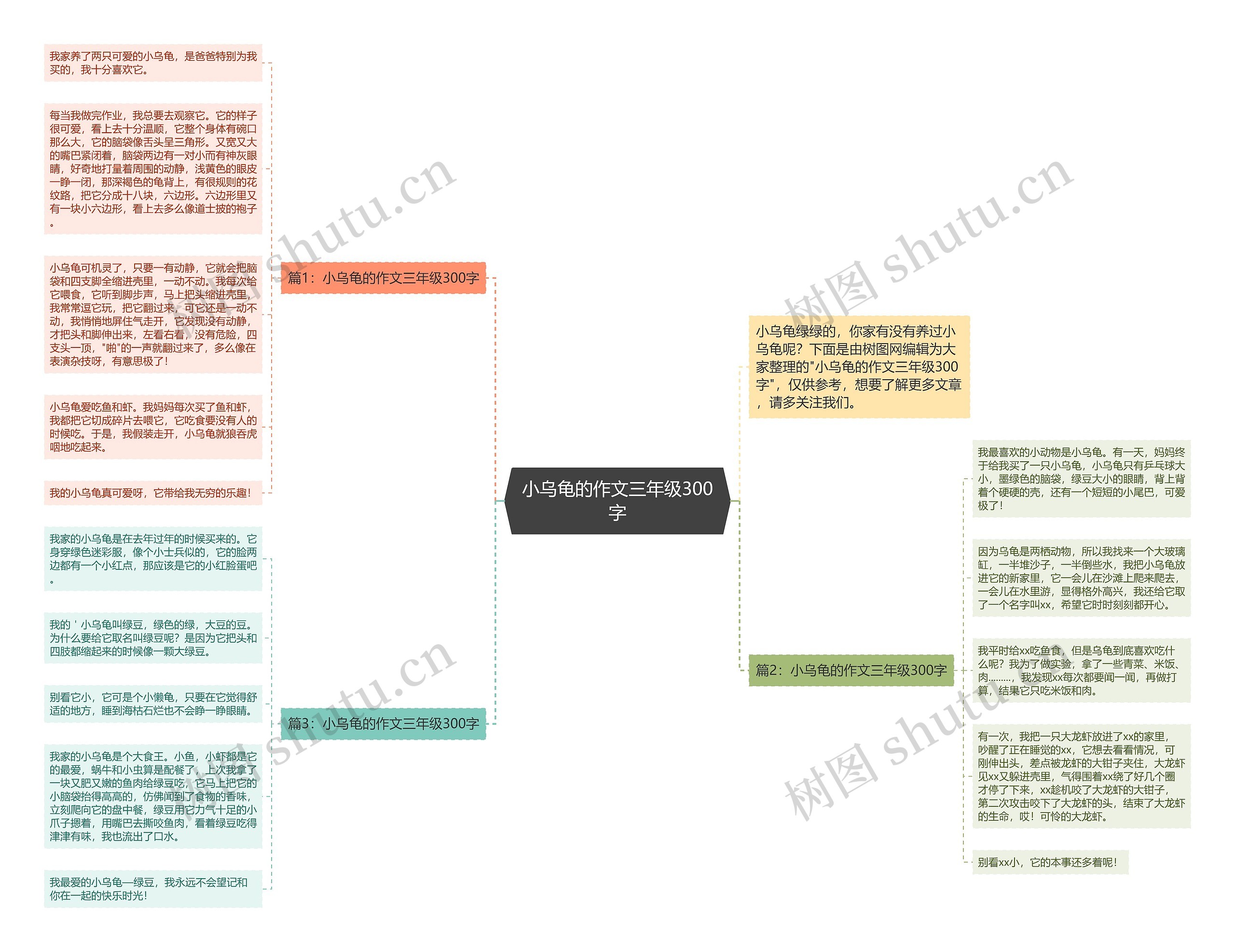 小乌龟的作文三年级300字思维导图