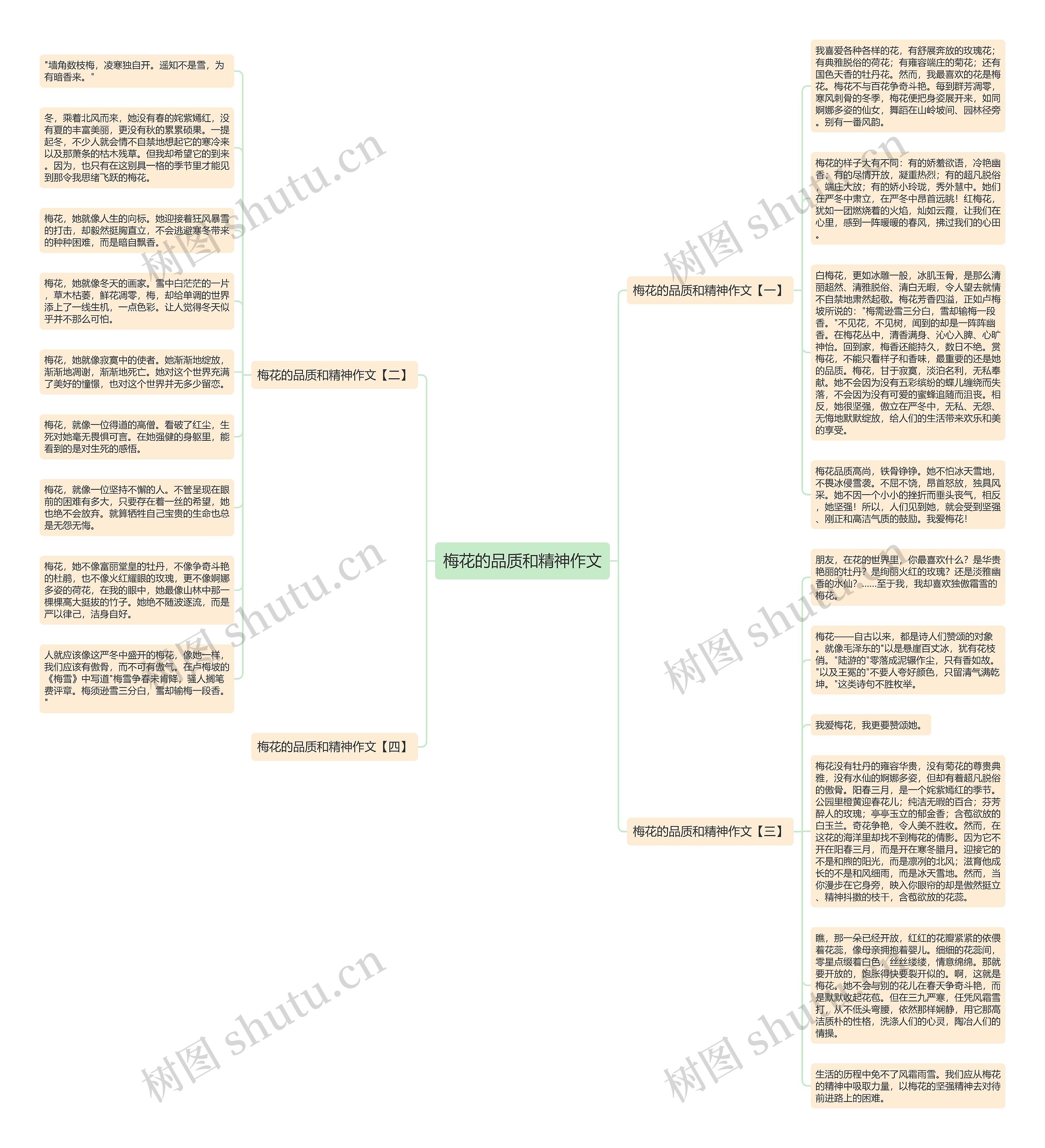 梅花的品质和精神作文思维导图