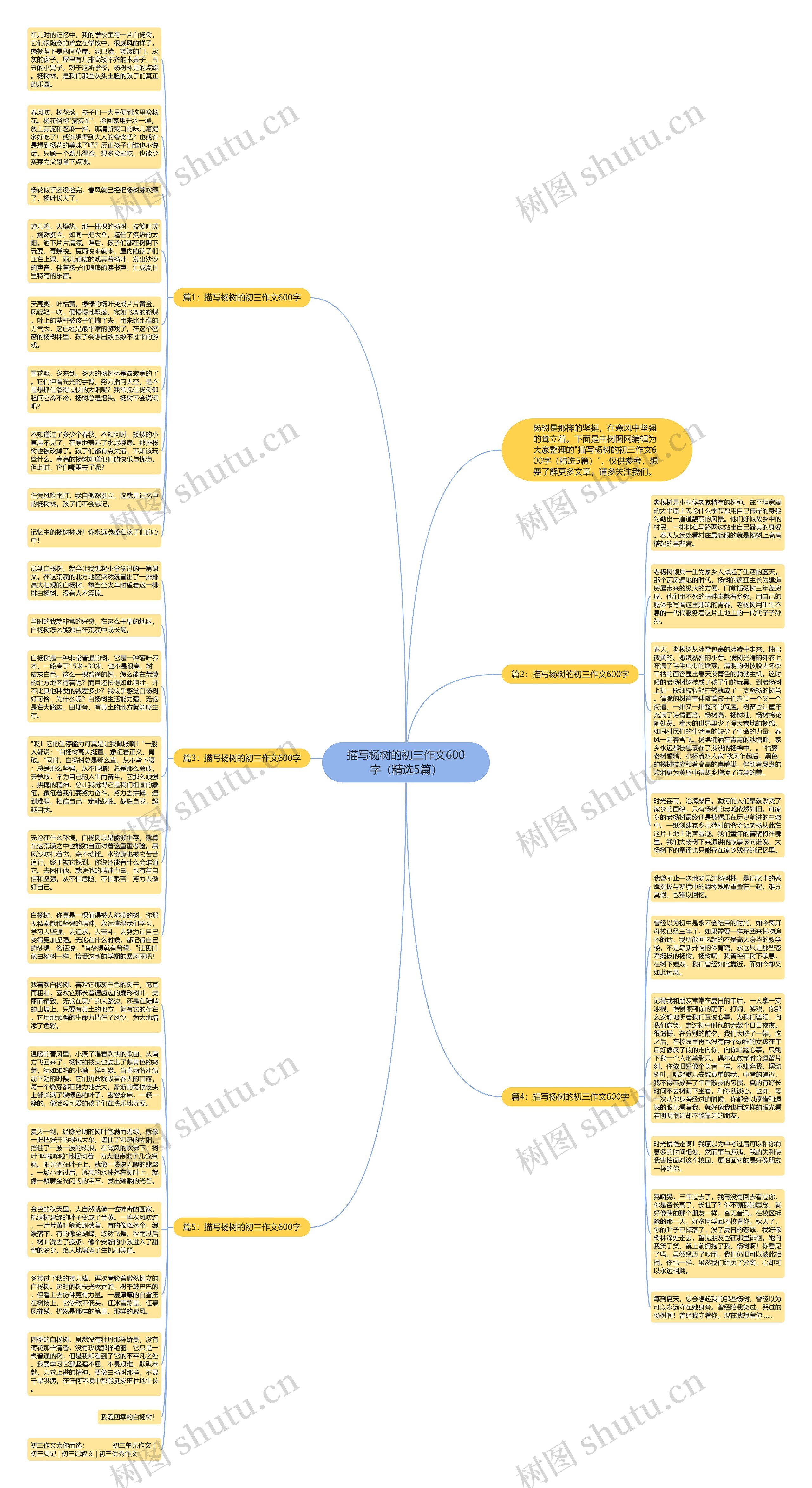 描写杨树的初三作文600字（精选5篇）思维导图