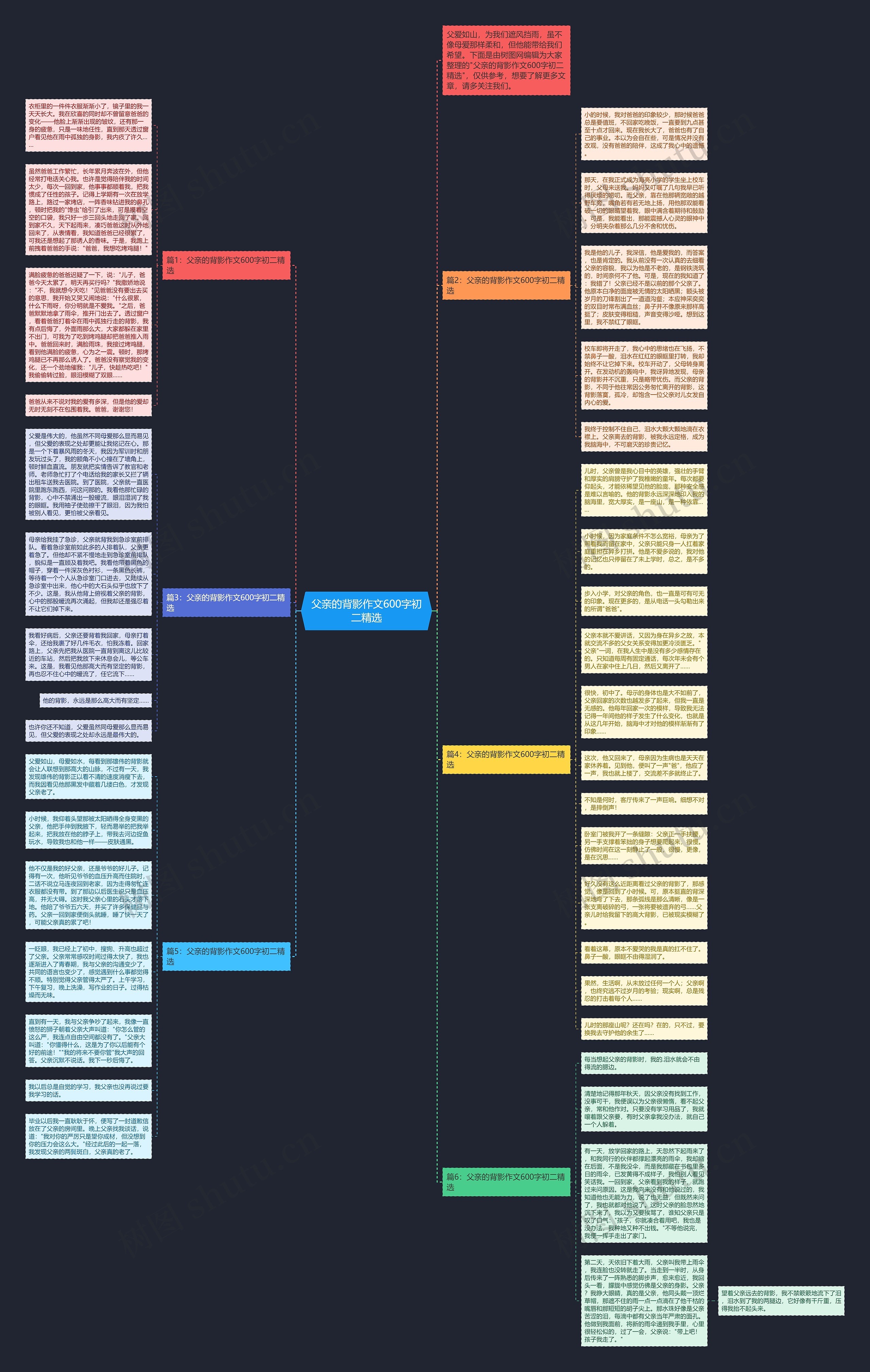 父亲的背影作文600字初二精选