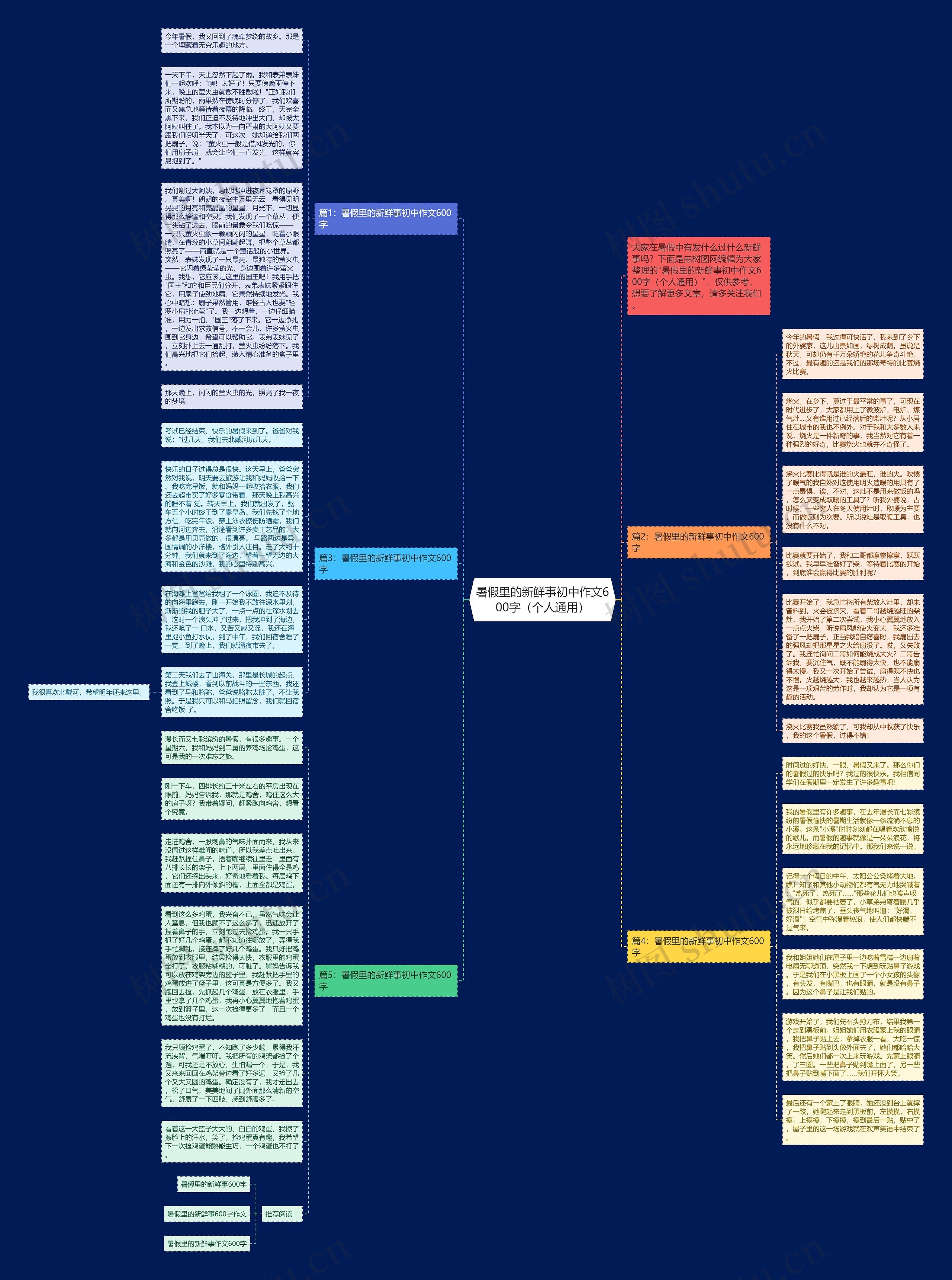 暑假里的新鲜事初中作文600字（个人通用）思维导图