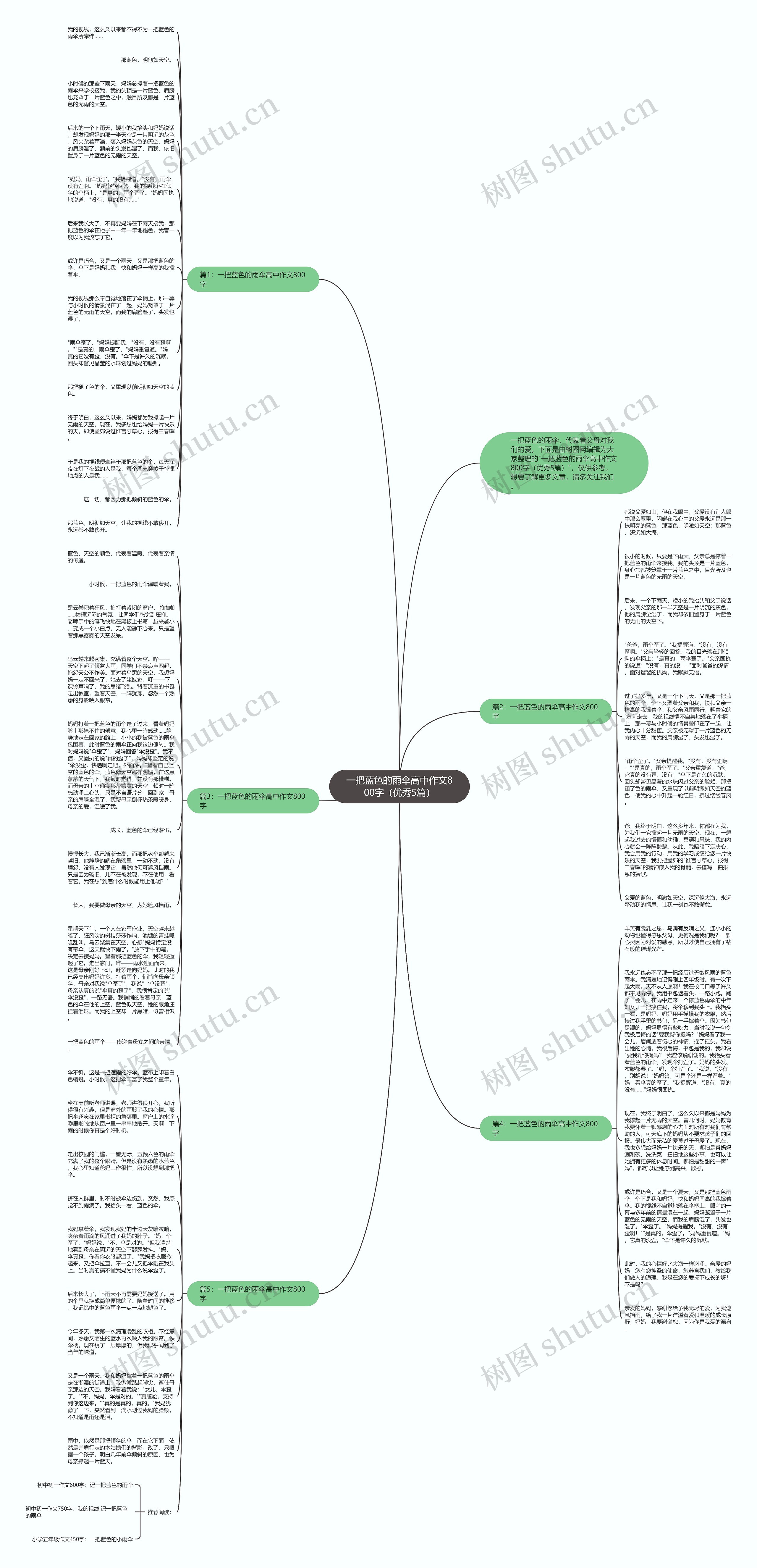 一把蓝色的雨伞高中作文800字（优秀5篇）思维导图