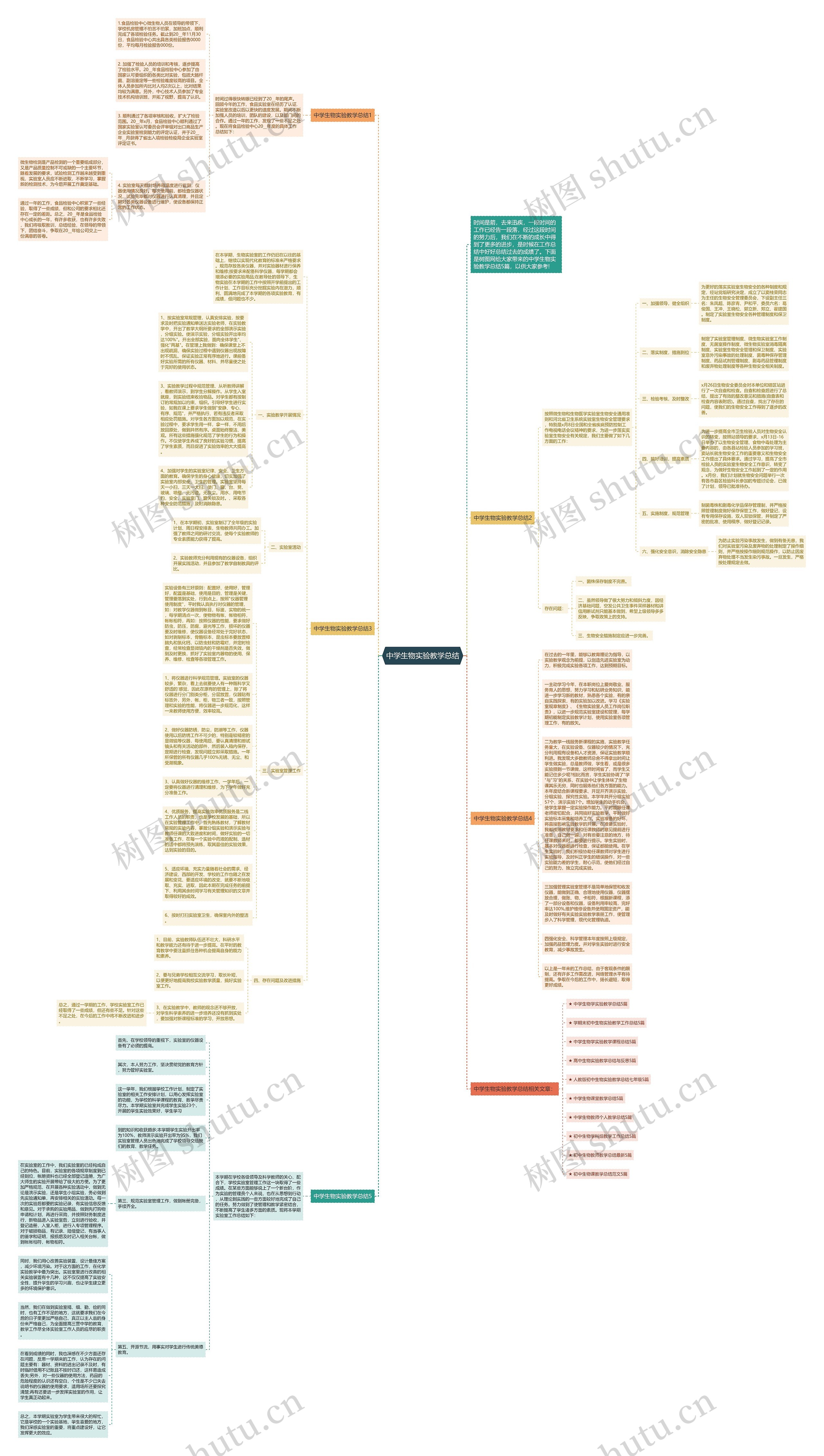 中学生物实验教学总结思维导图