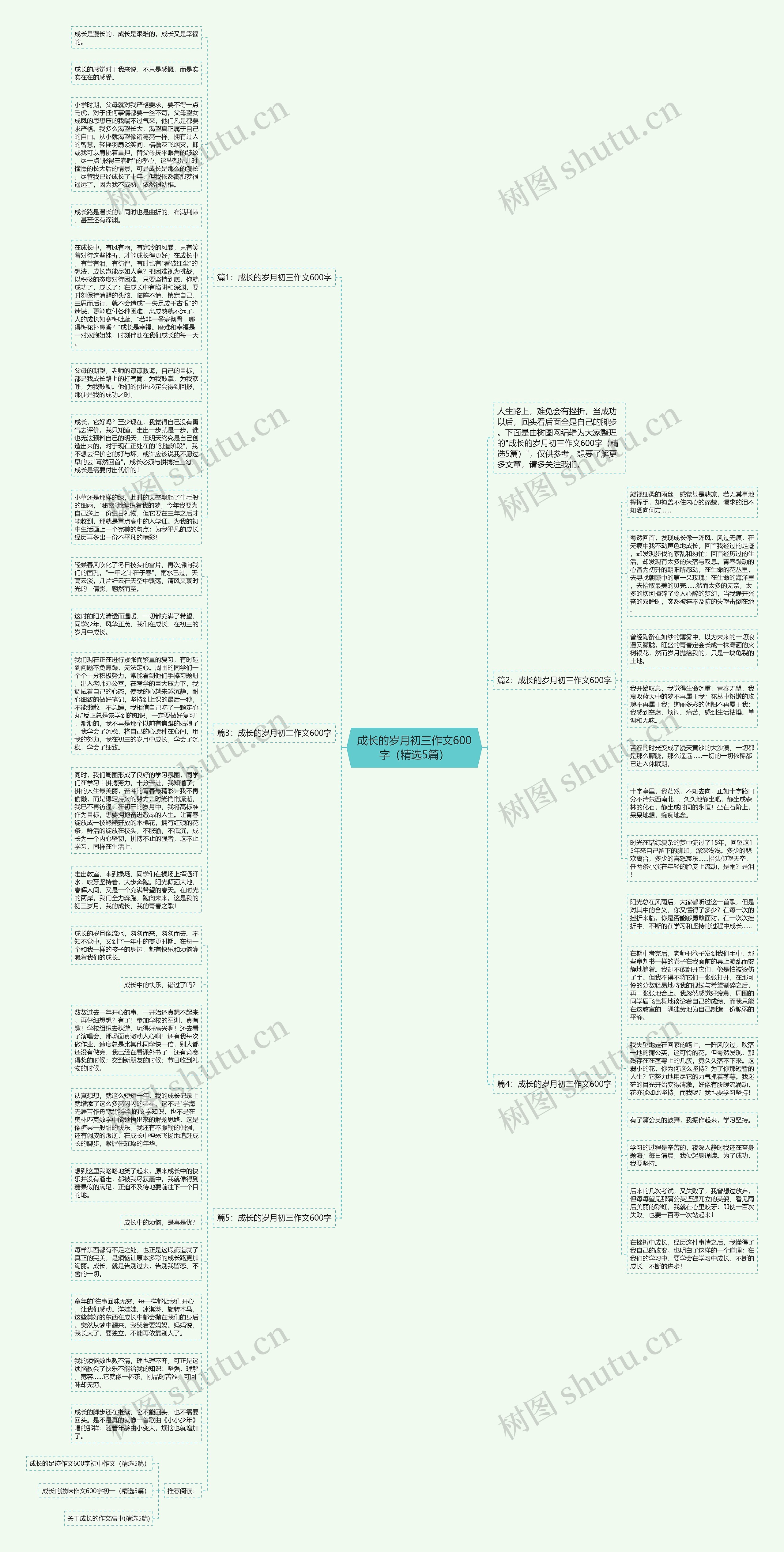 成长的岁月初三作文600字（精选5篇）思维导图