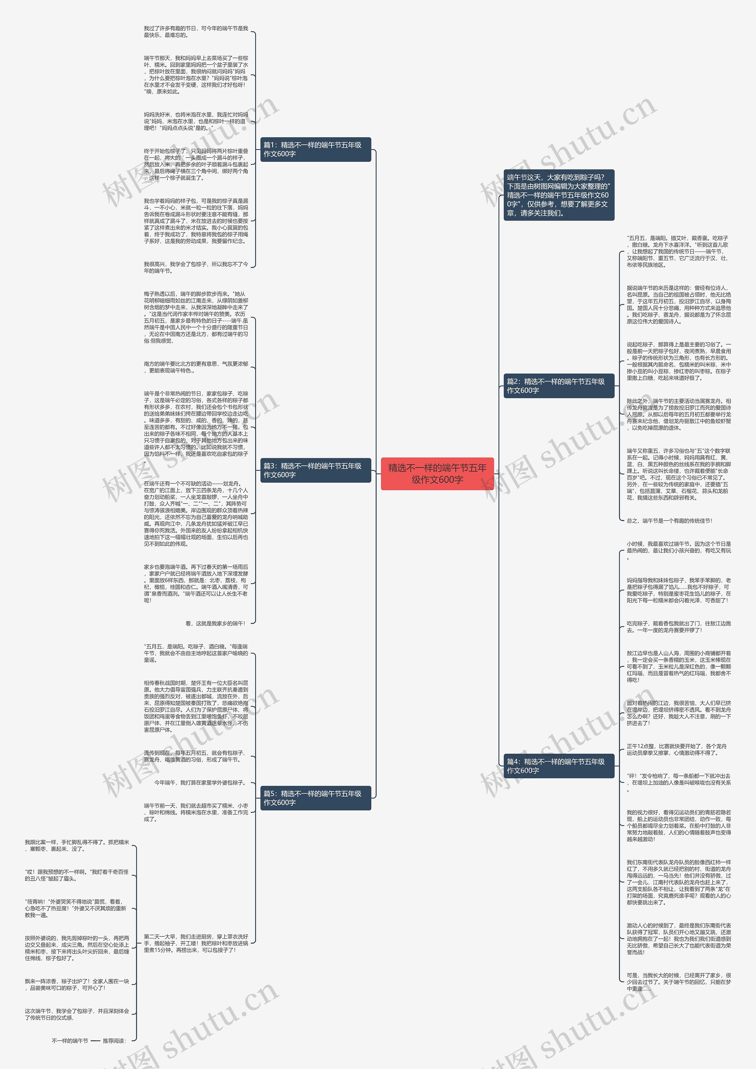 精选不一样的端午节五年级作文600字思维导图