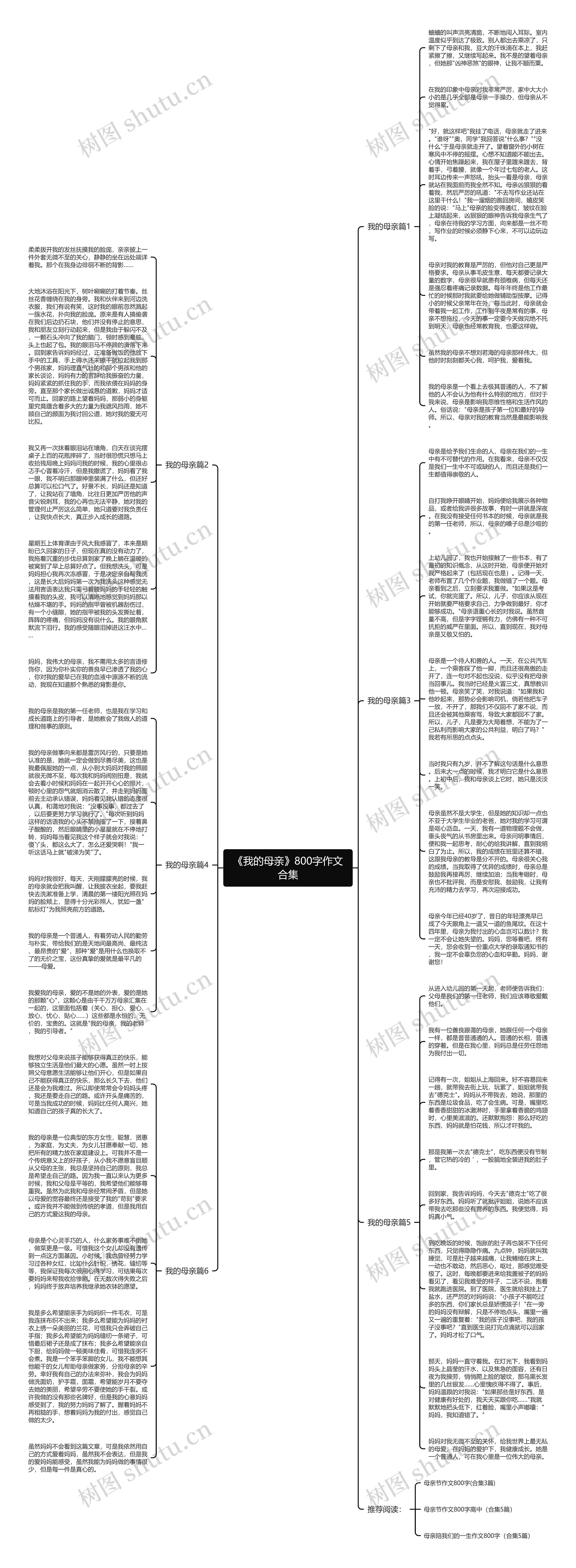 《我的母亲》800字作文合集思维导图