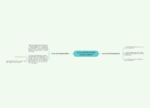 临床执业医师考试成绩查询流程及注意事项