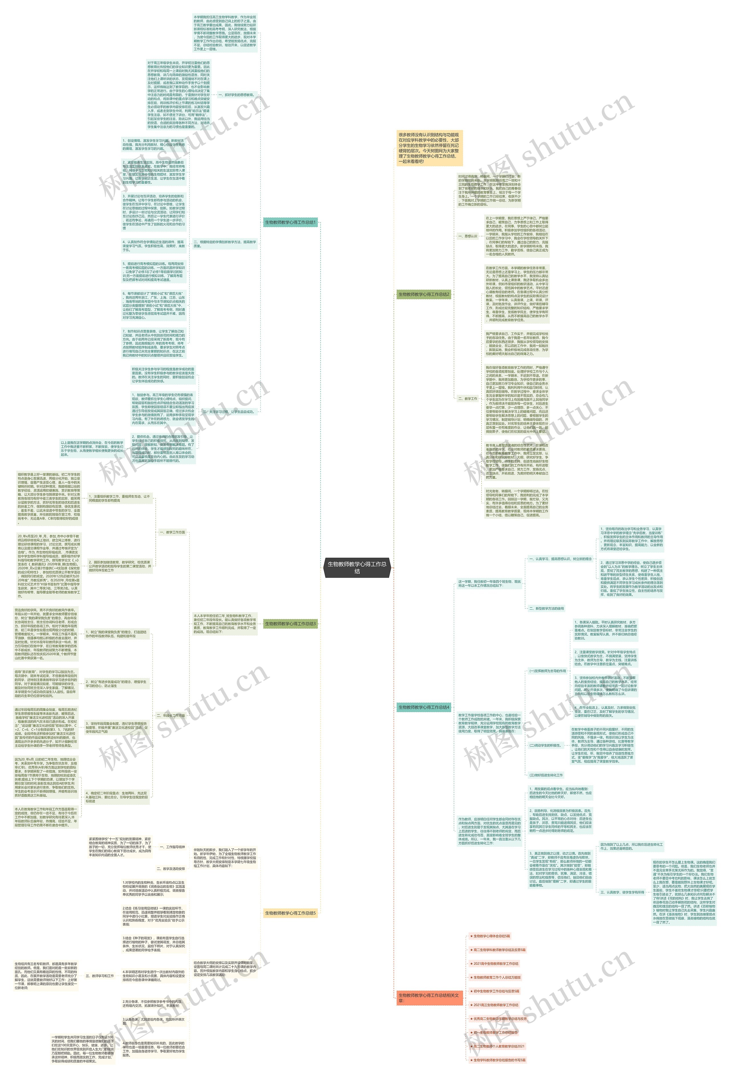 生物教师教学心得工作总结思维导图
