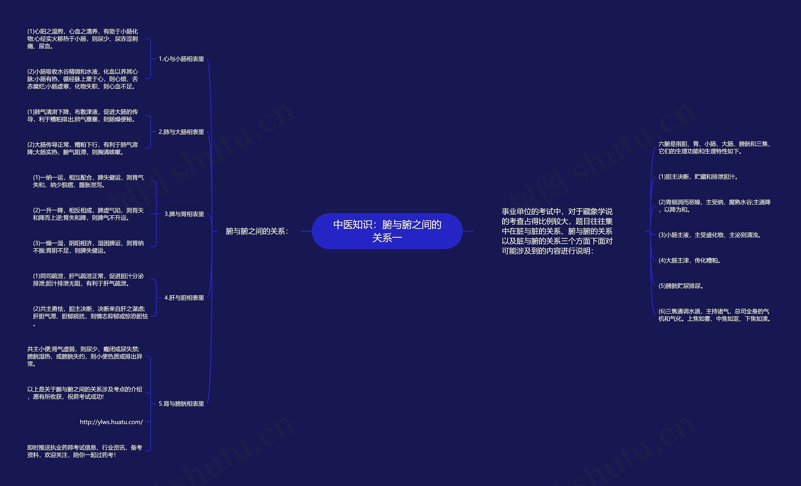 中医知识：腑与腑之间的关系一思维导图