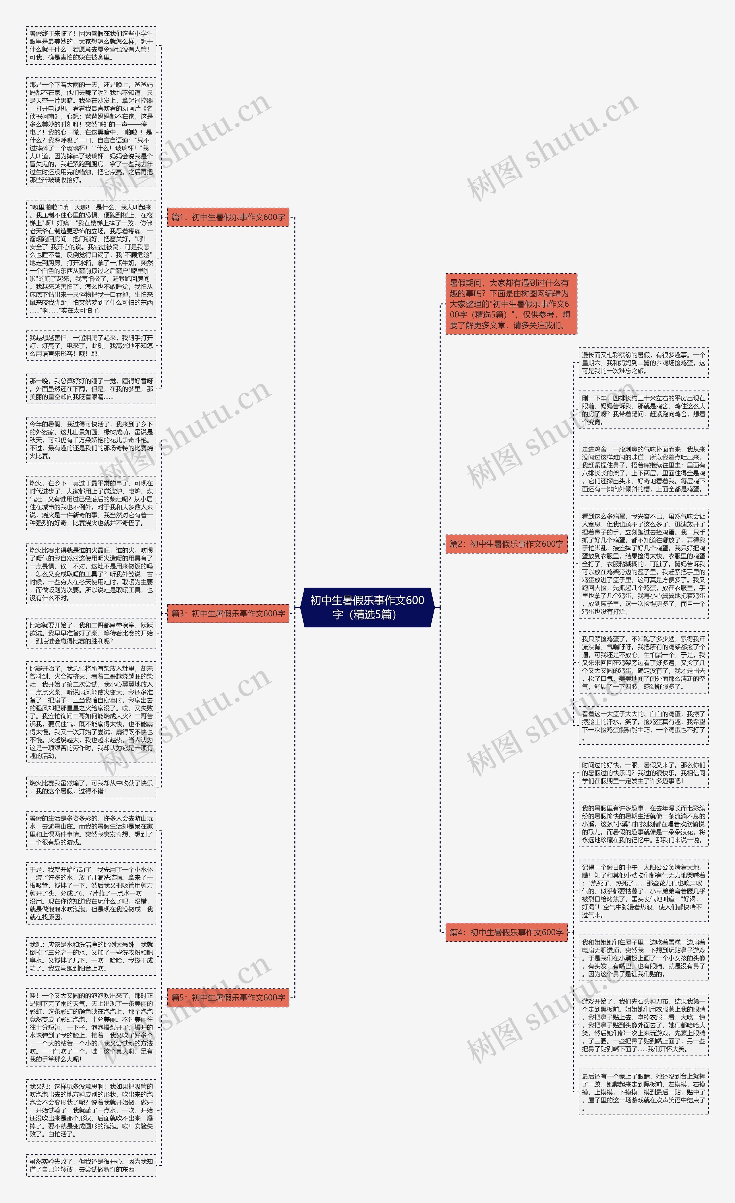 初中生暑假乐事作文600字（精选5篇）思维导图