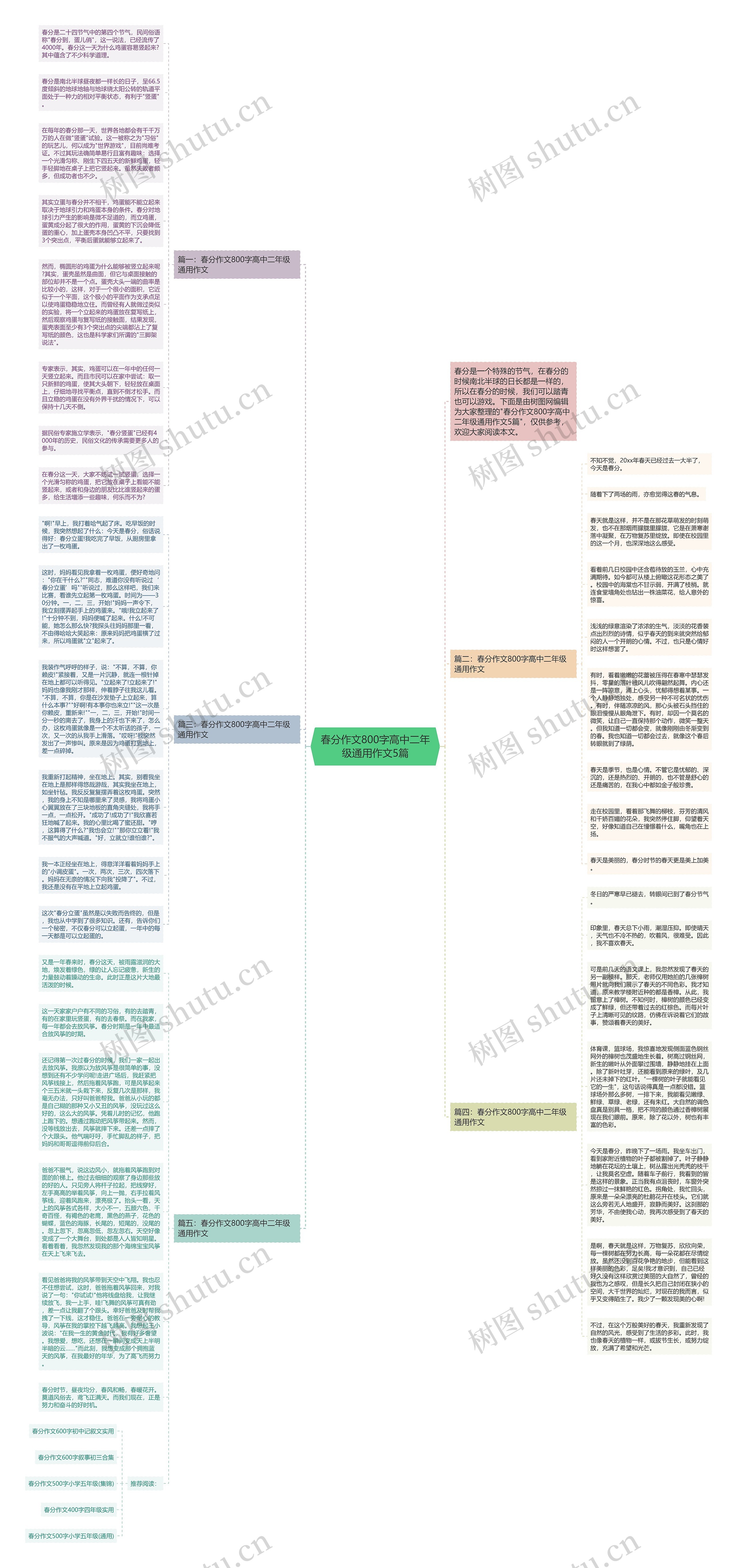 春分作文800字高中二年级通用作文5篇思维导图