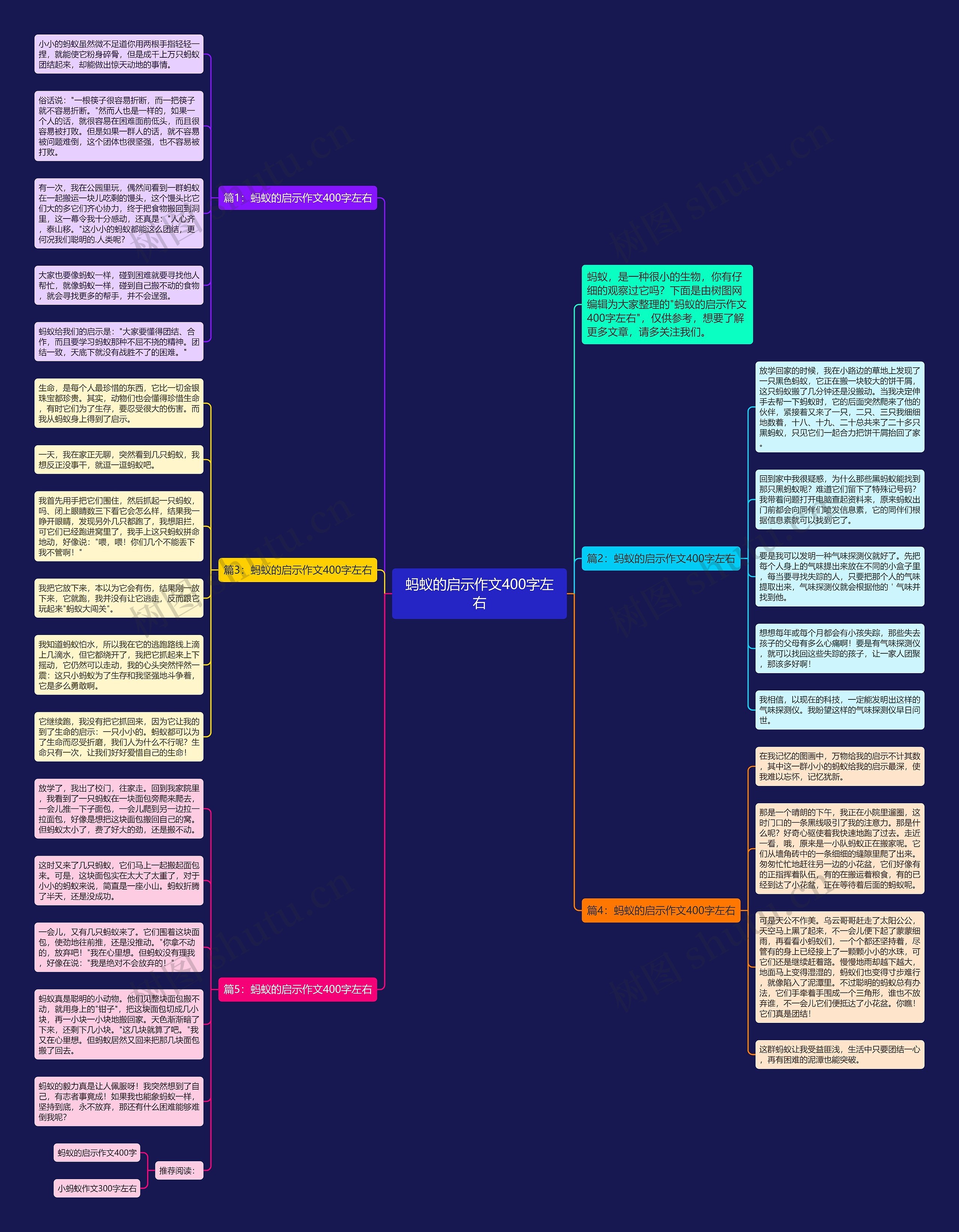 蚂蚁的启示作文400字左右思维导图