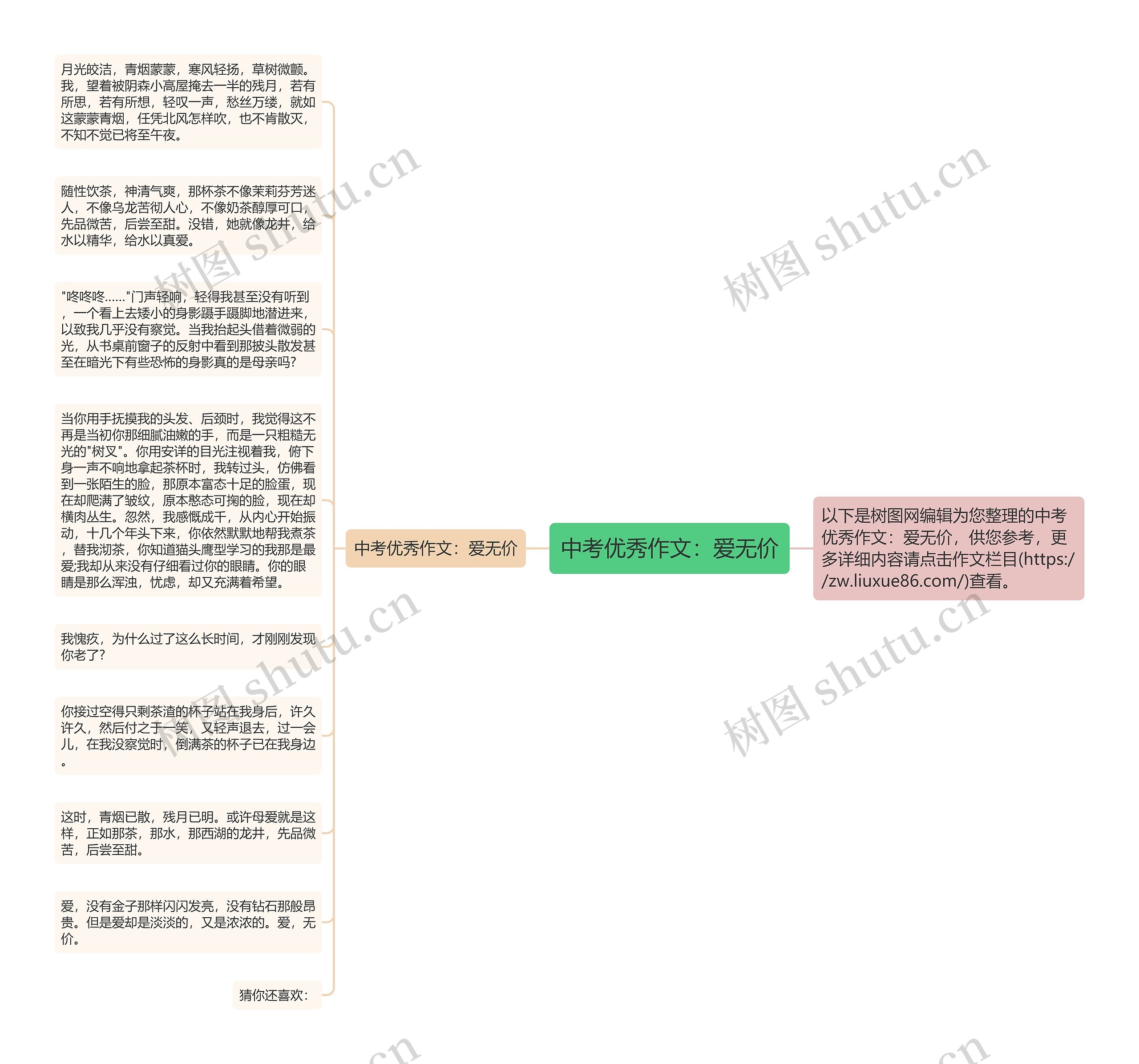 中考优秀作文：爱无价思维导图