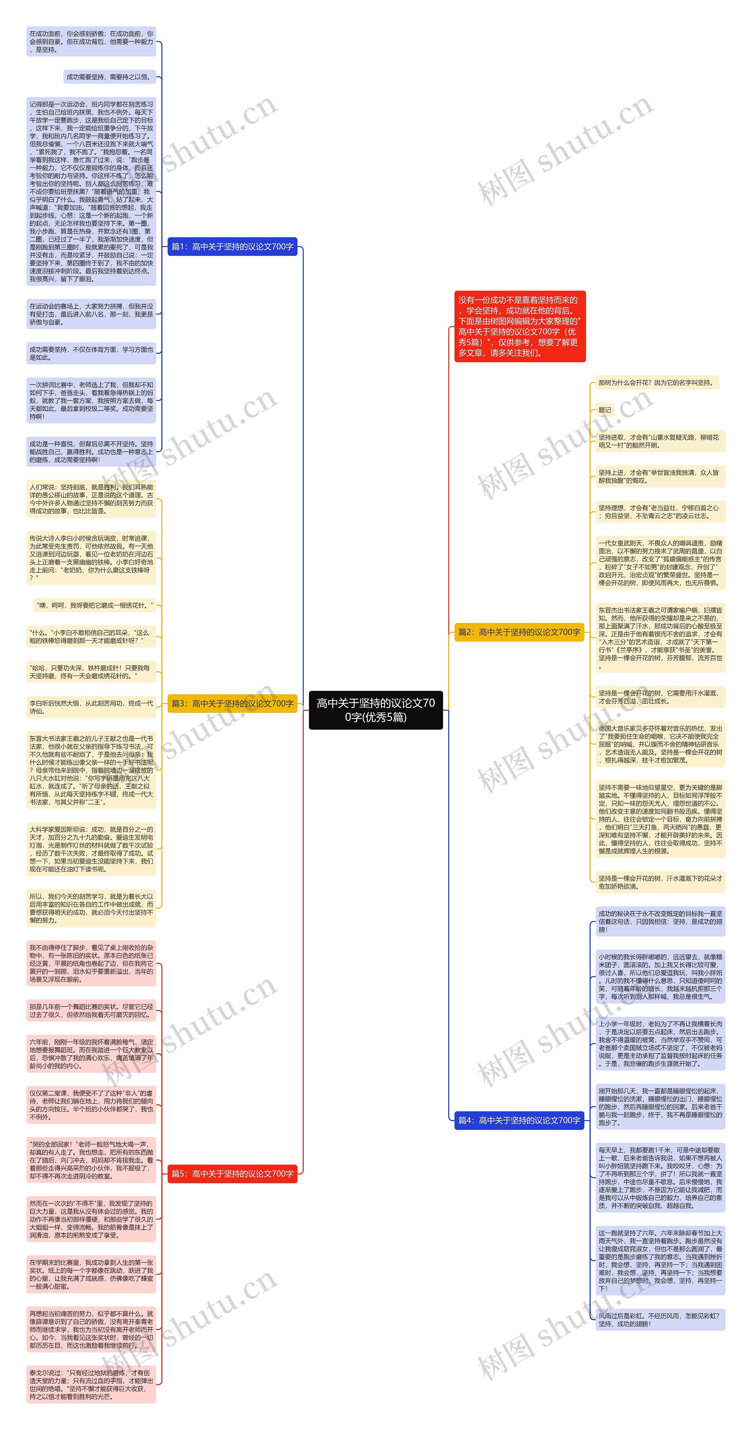 高中关于坚持的议论文700字(优秀5篇)思维导图