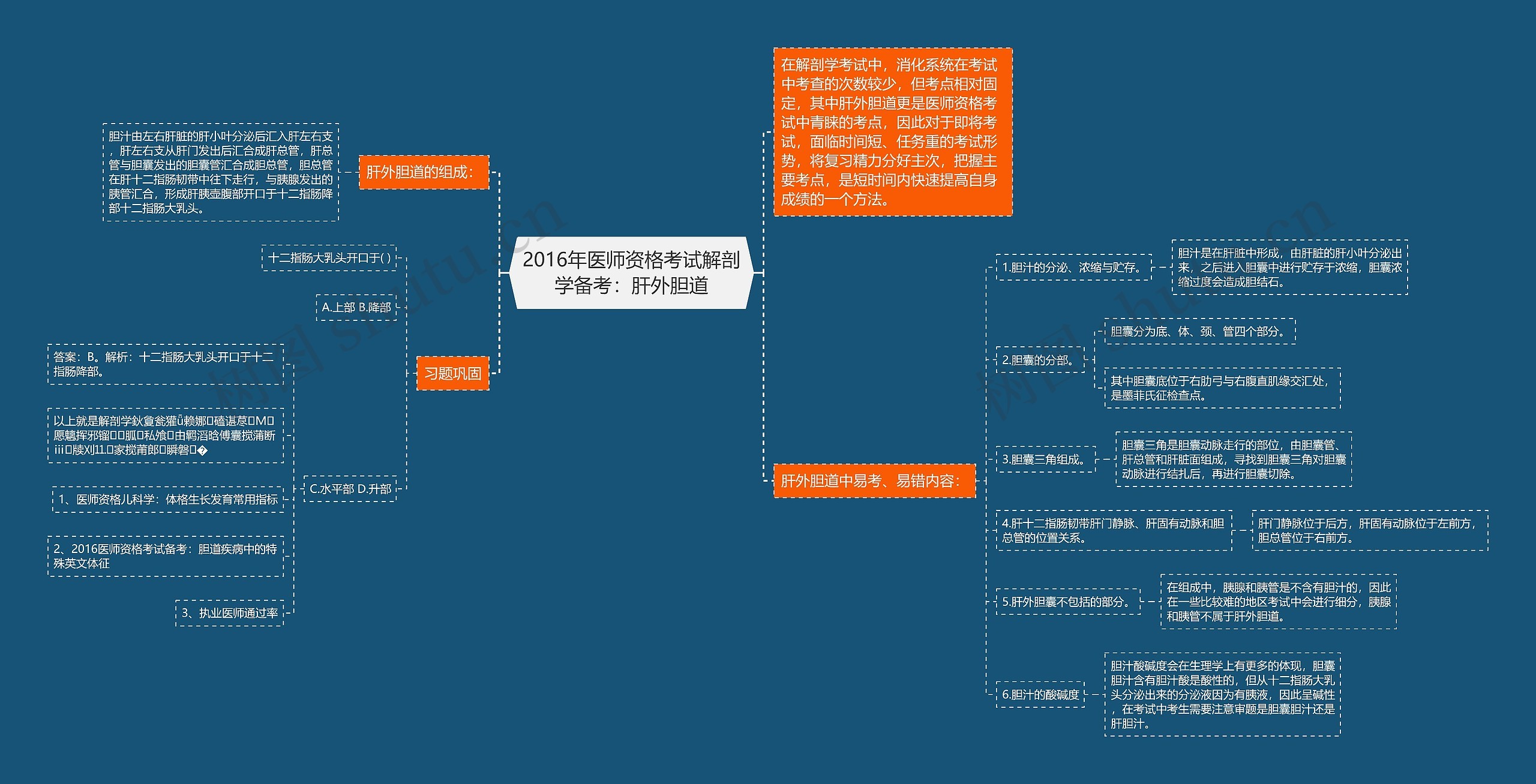 2016年医师资格考试解剖学备考：肝外胆道思维导图