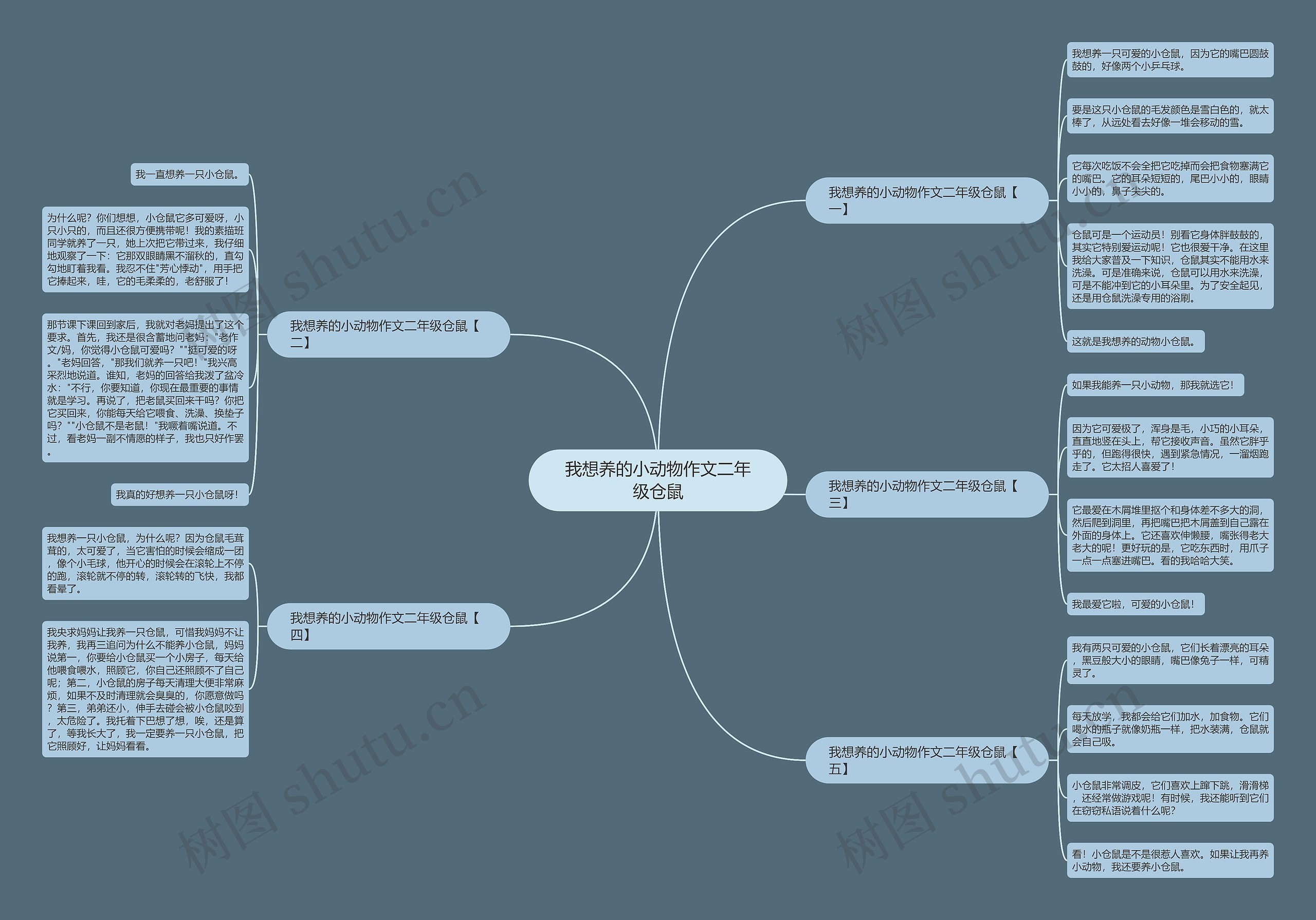 我想养的小动物作文二年级仓鼠思维导图