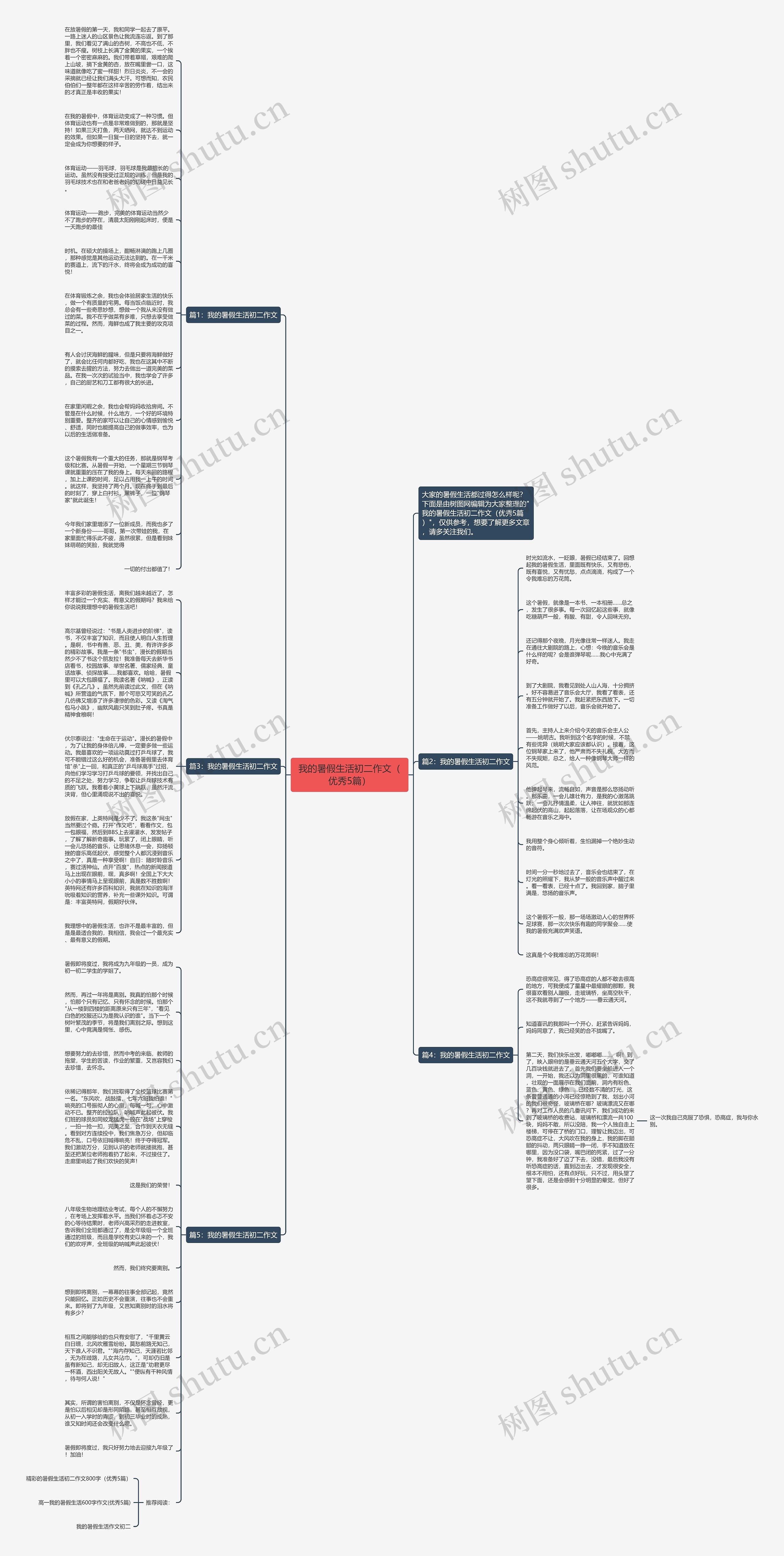 我的暑假生活初二作文（优秀5篇）思维导图