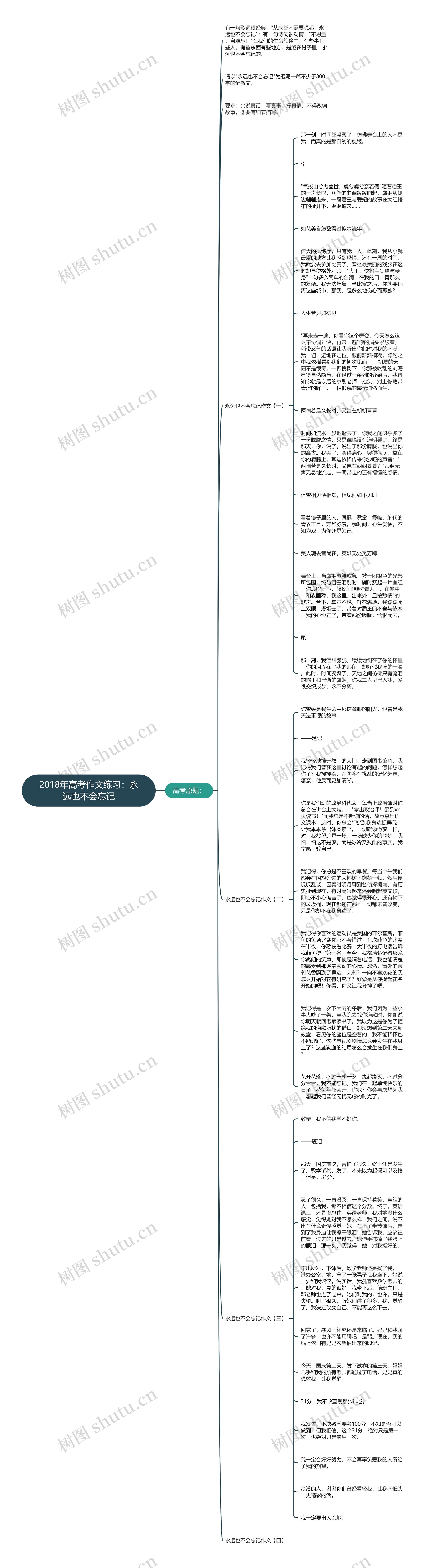 2018年高考作文练习：永远也不会忘记思维导图