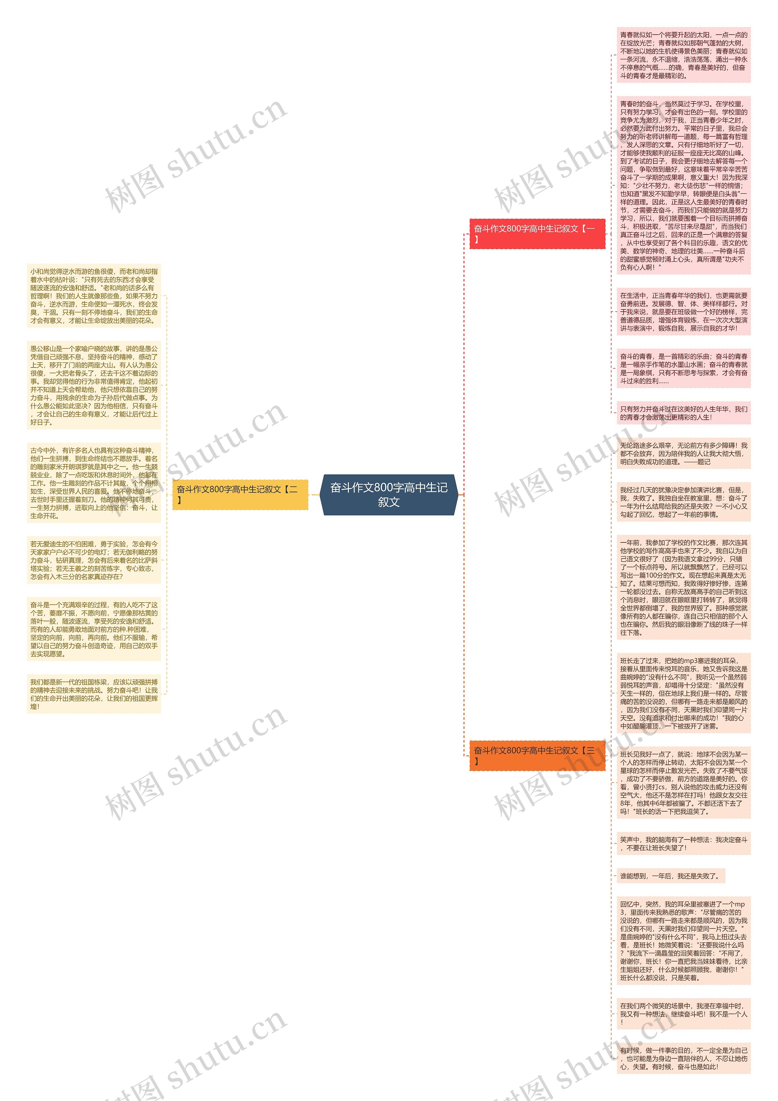 奋斗作文800字高中生记叙文思维导图
