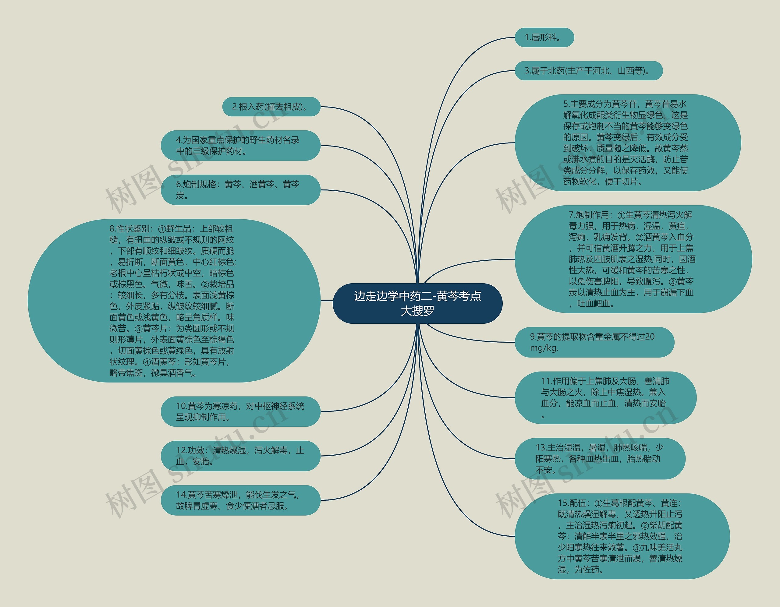 边走边学中药二-黄芩考点大搜罗思维导图