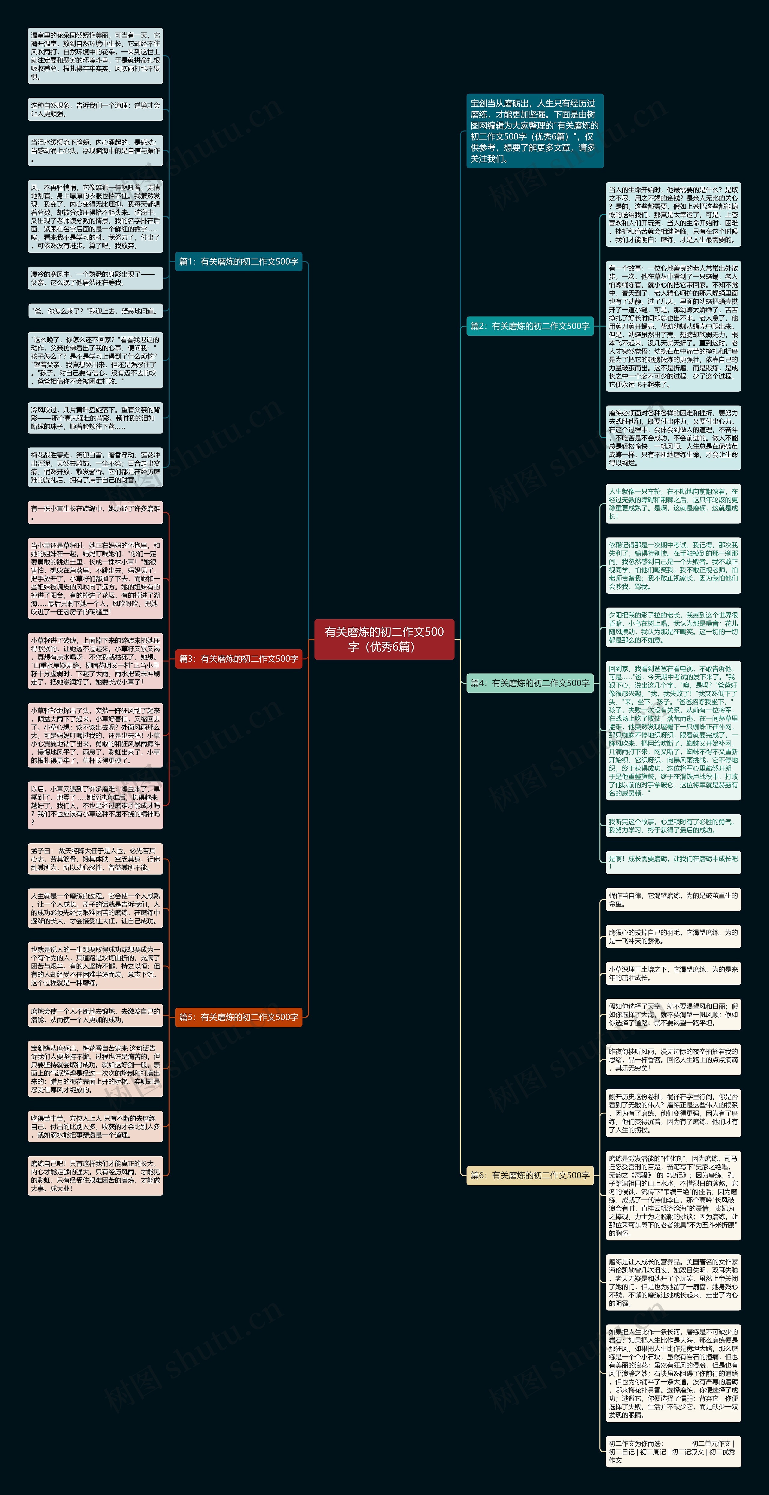 有关磨炼的初二作文500字（优秀6篇）思维导图