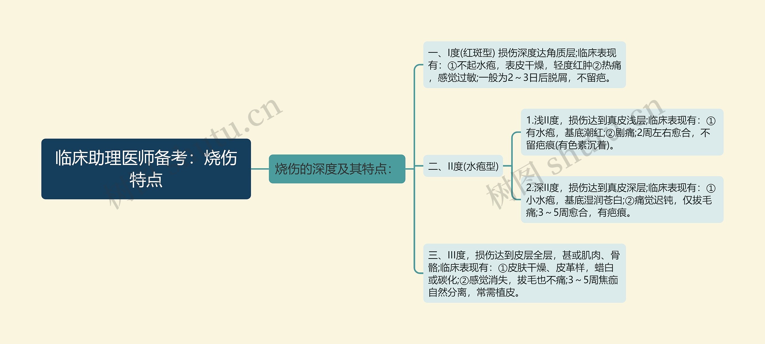 临床助理医师备考：烧伤特点思维导图