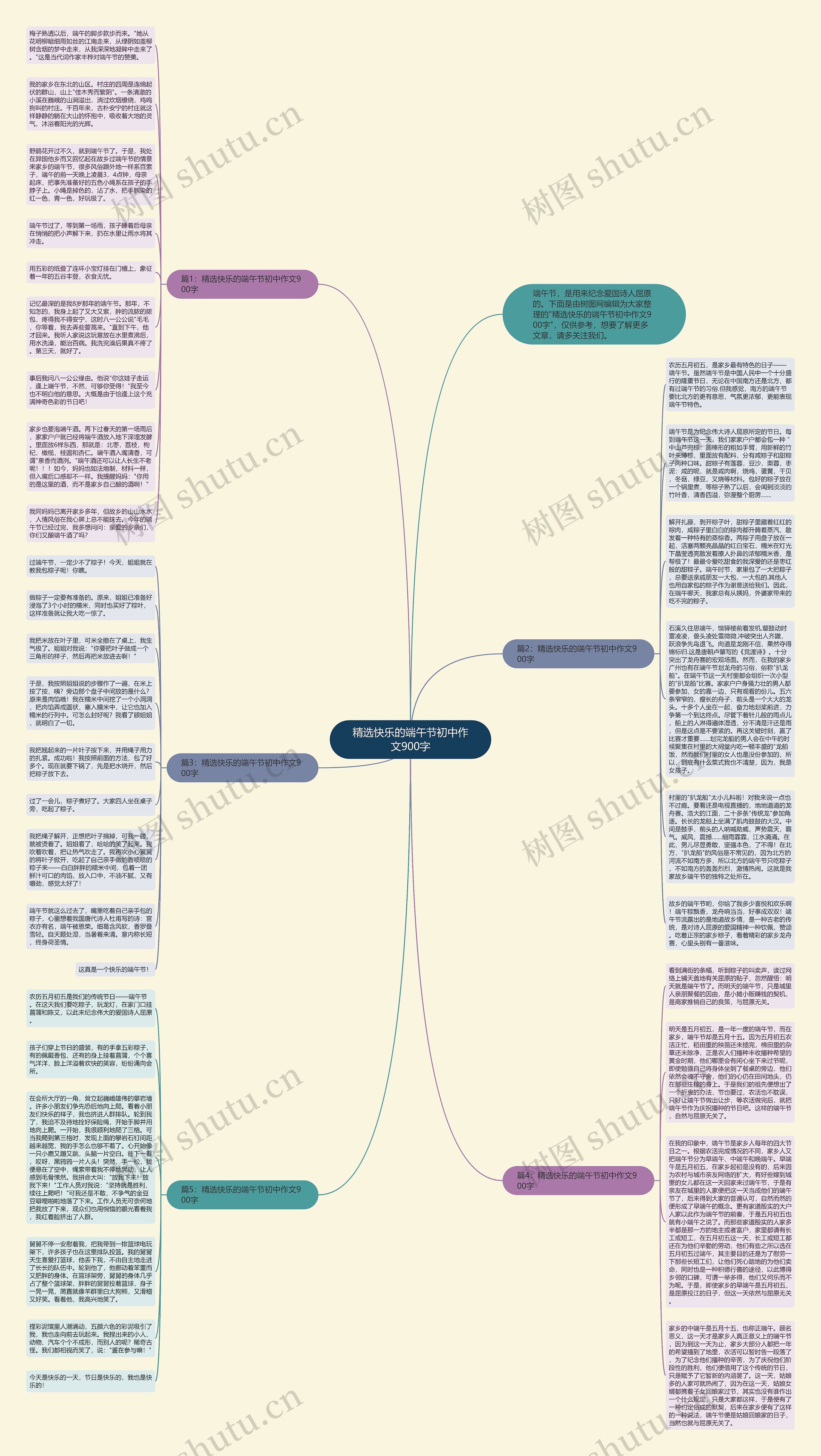 精选快乐的端午节初中作文900字思维导图
