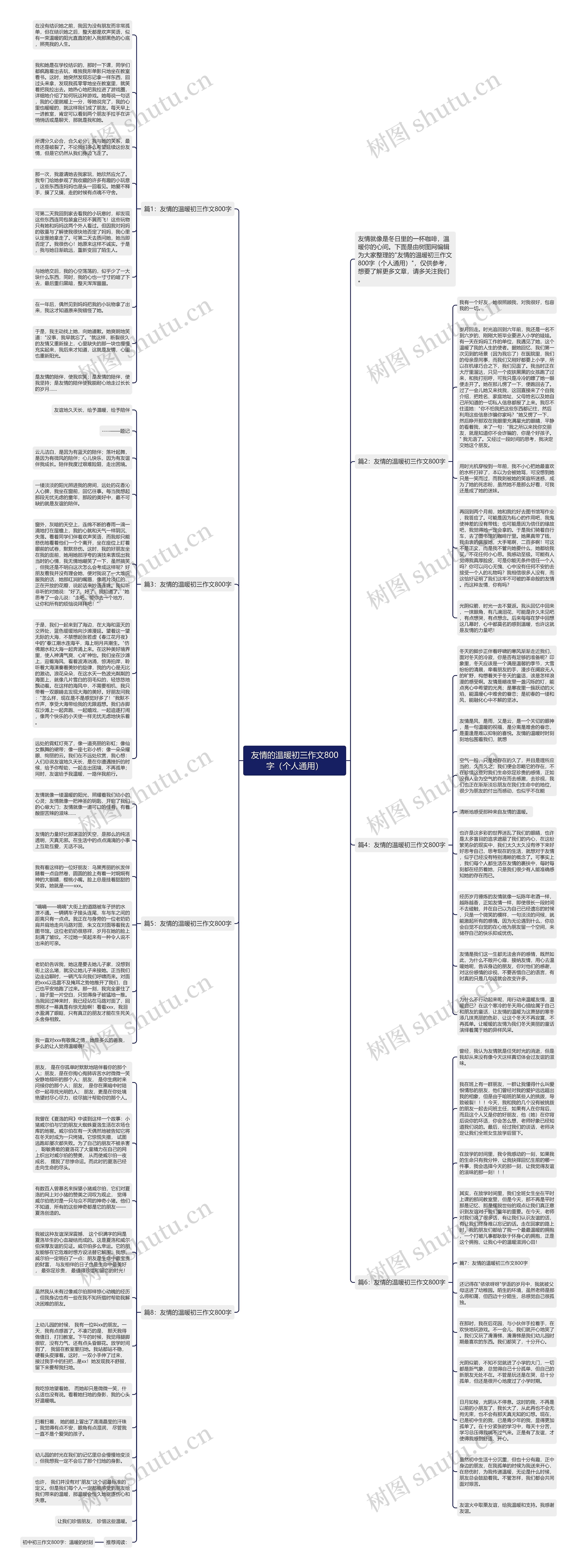 友情的温暖初三作文800字（个人通用）思维导图