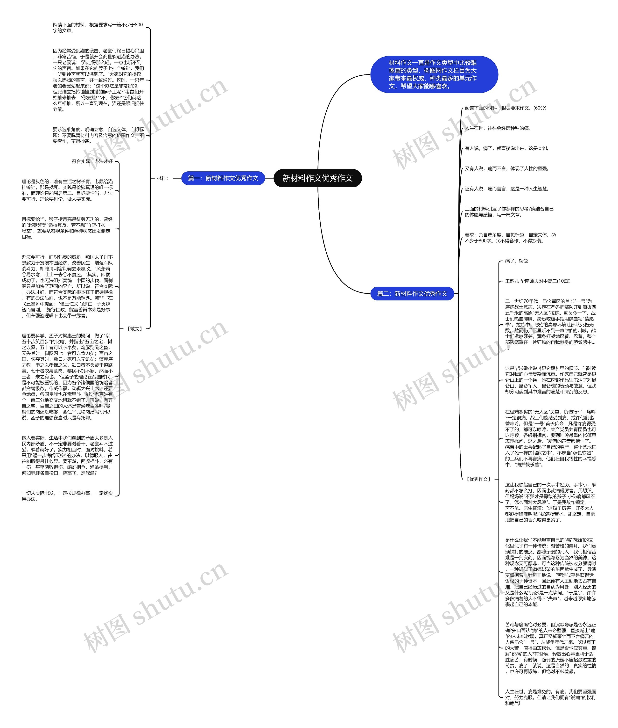 新材料作文优秀作文思维导图