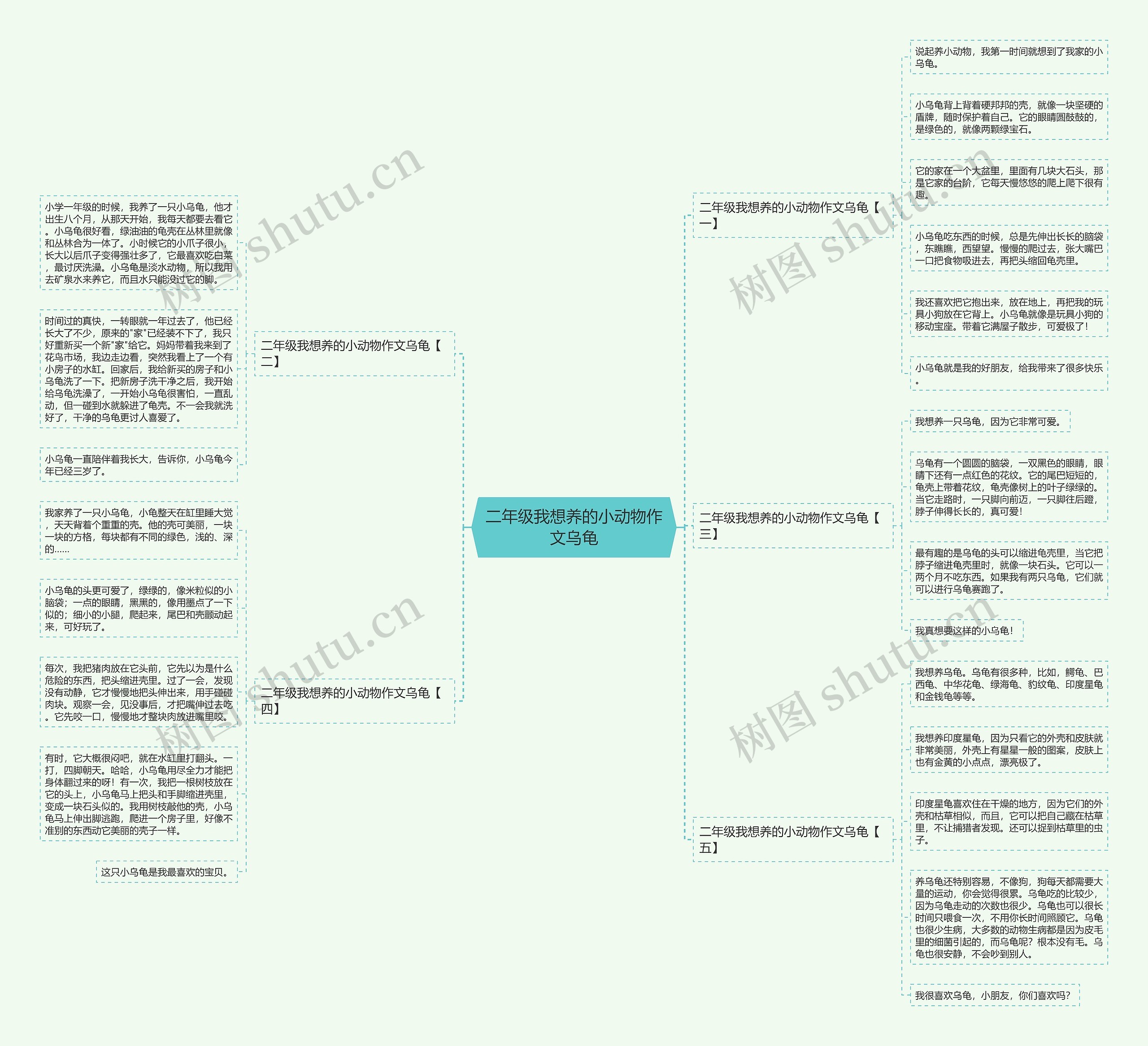 二年级我想养的小动物作文乌龟思维导图