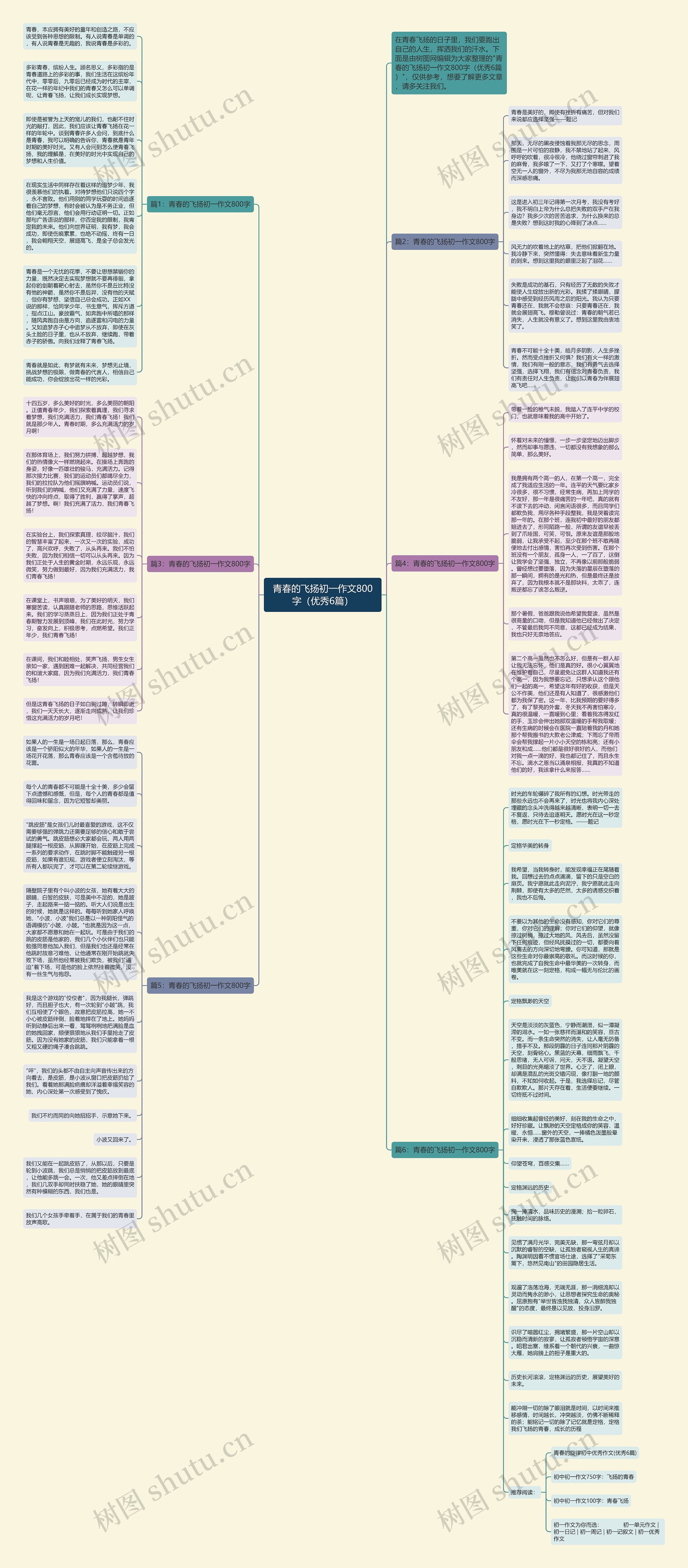 青春的飞扬初一作文800字（优秀6篇）思维导图