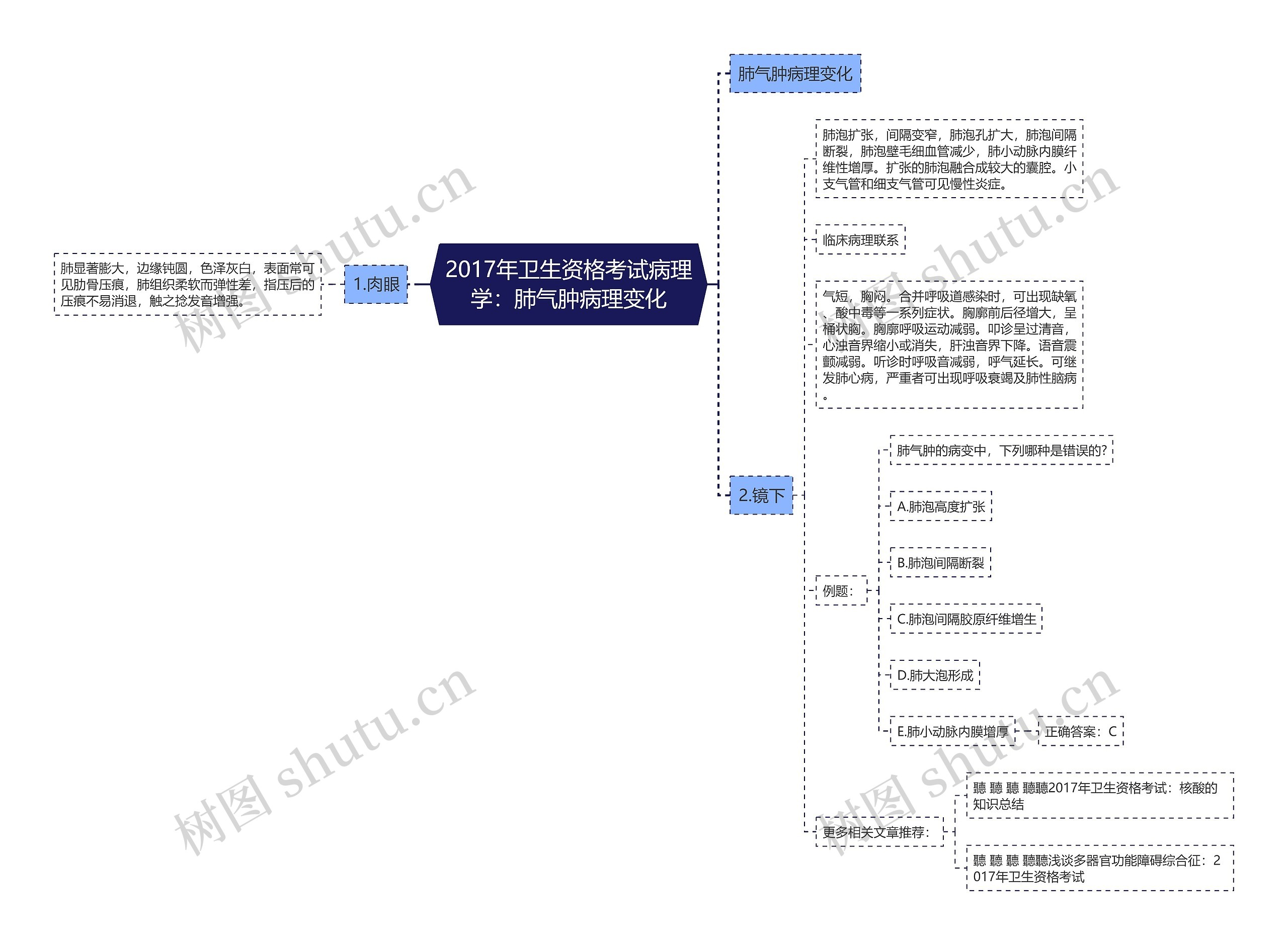 2017年卫生资格考试病理学：肺气肿病理变化思维导图