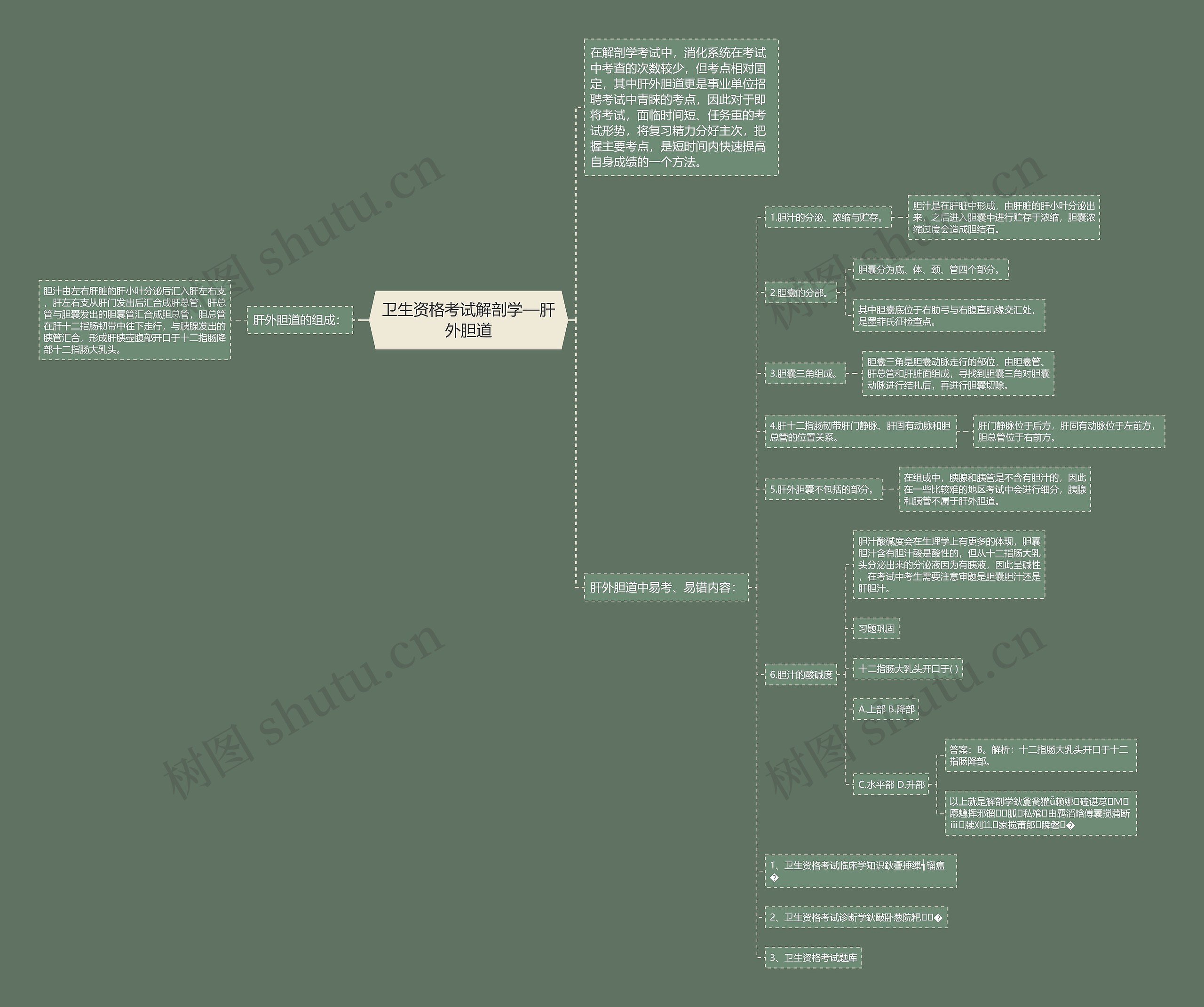 卫生资格考试解剖学—肝外胆道思维导图