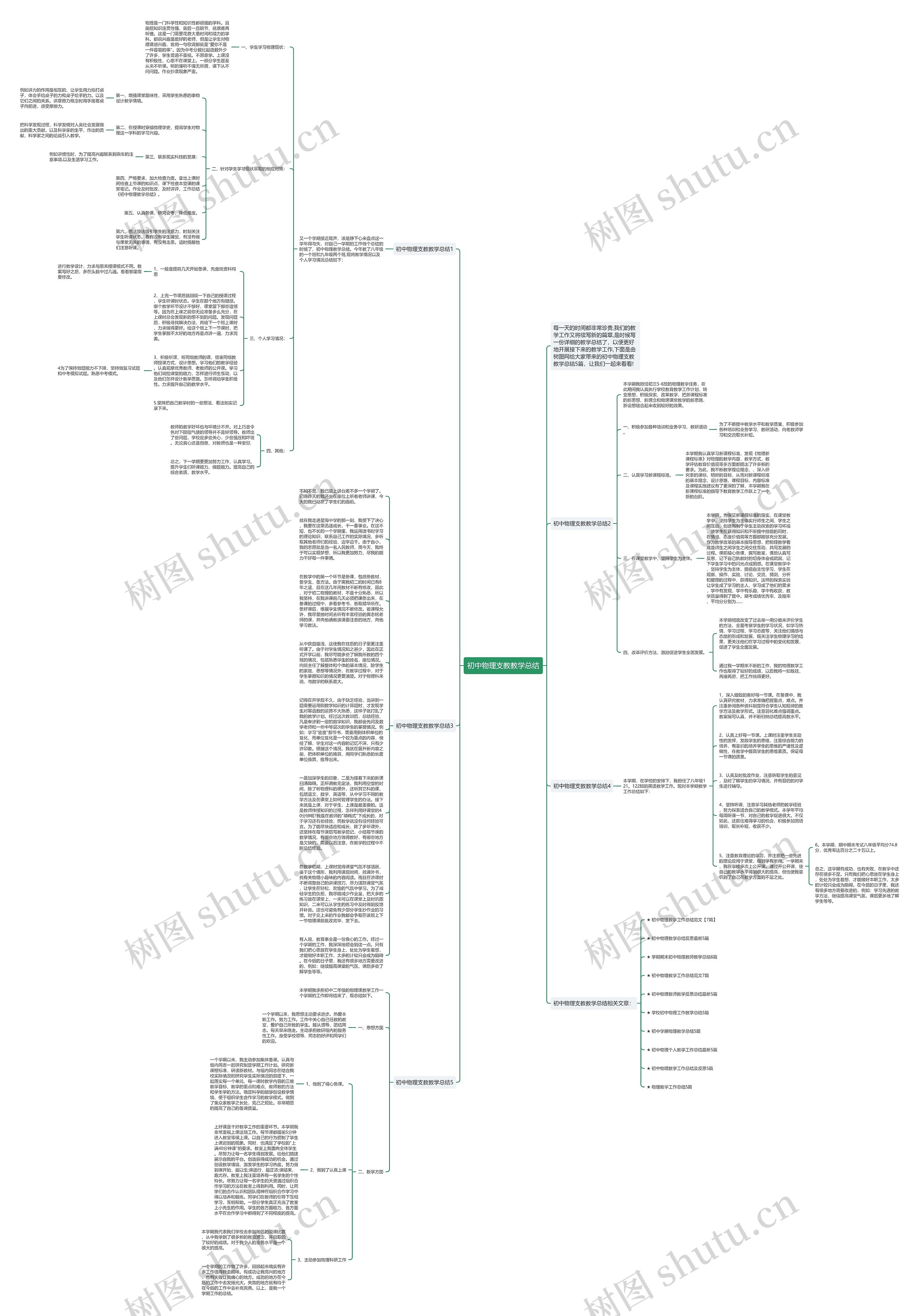 初中物理支教教学总结思维导图