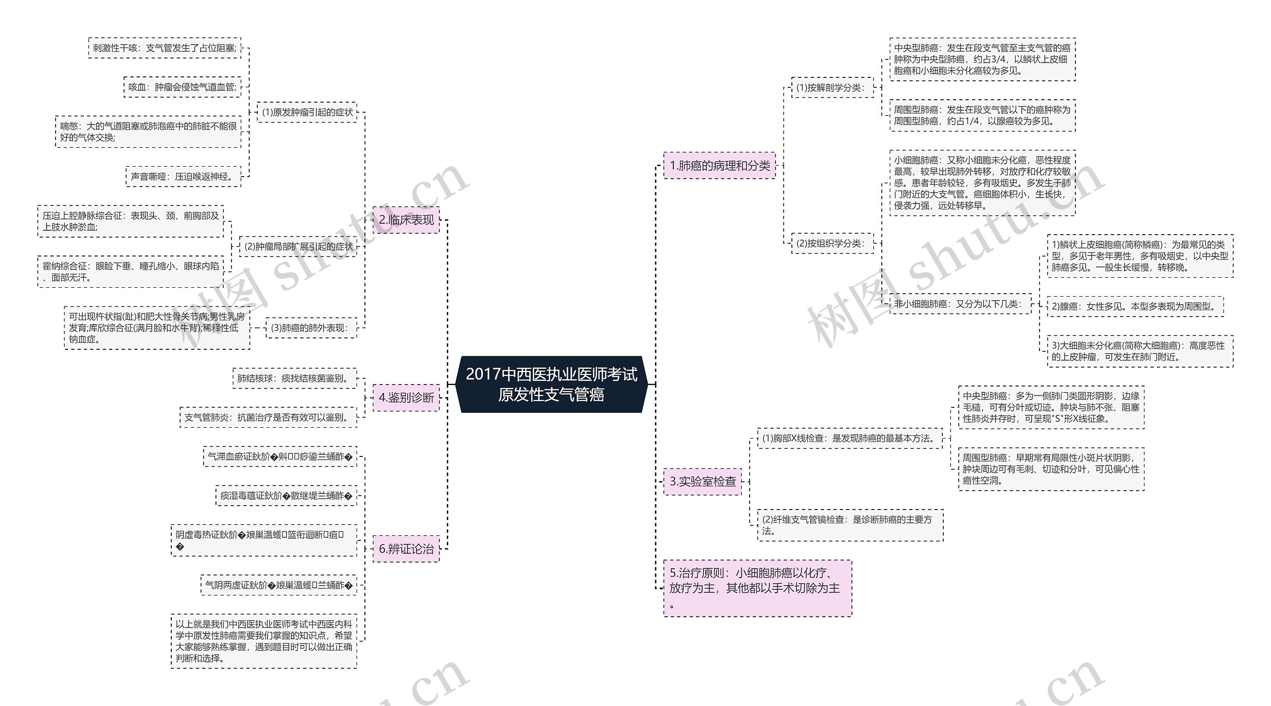 2017中西医执业医师考试原发性支气管癌思维导图