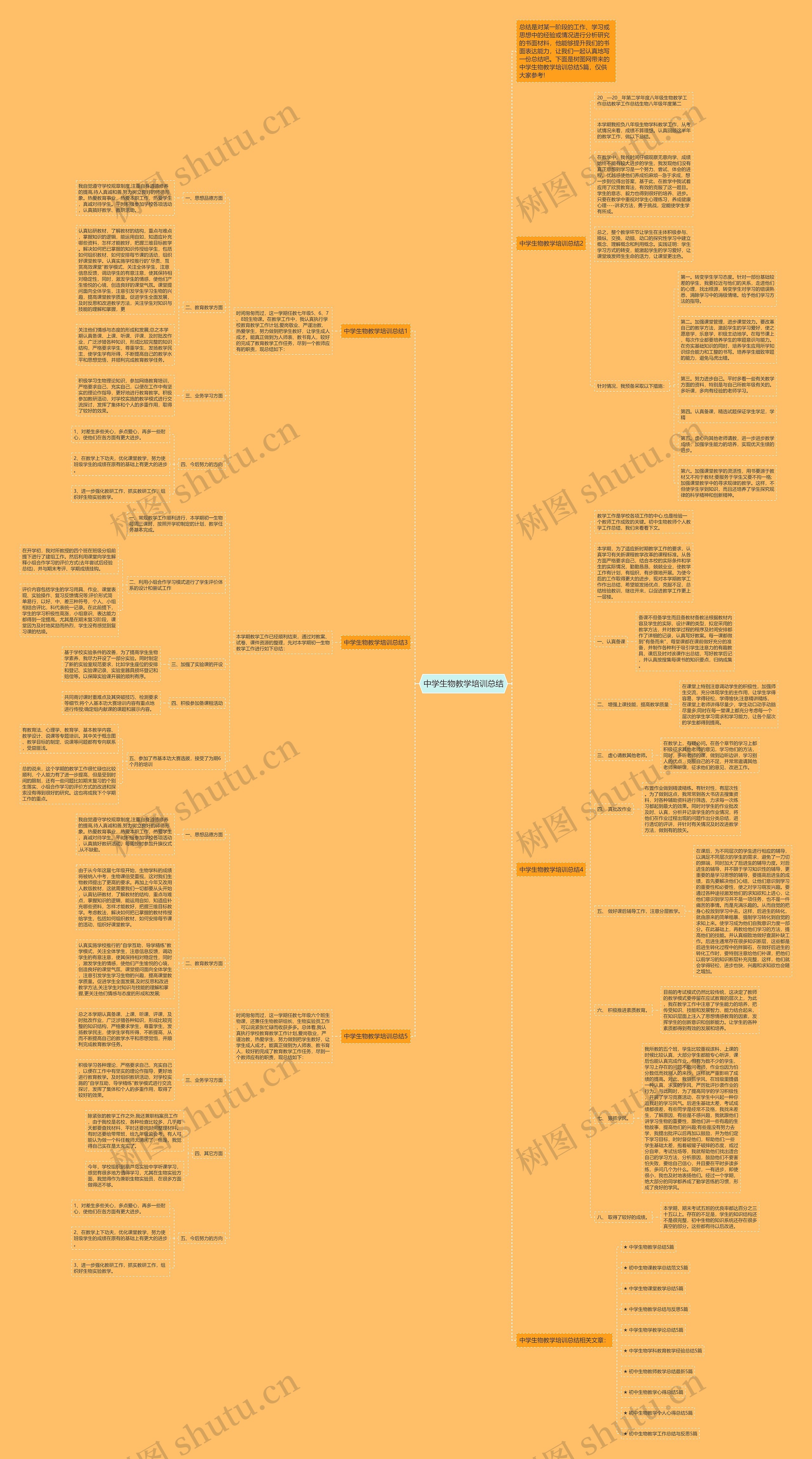 中学生物教学培训总结思维导图